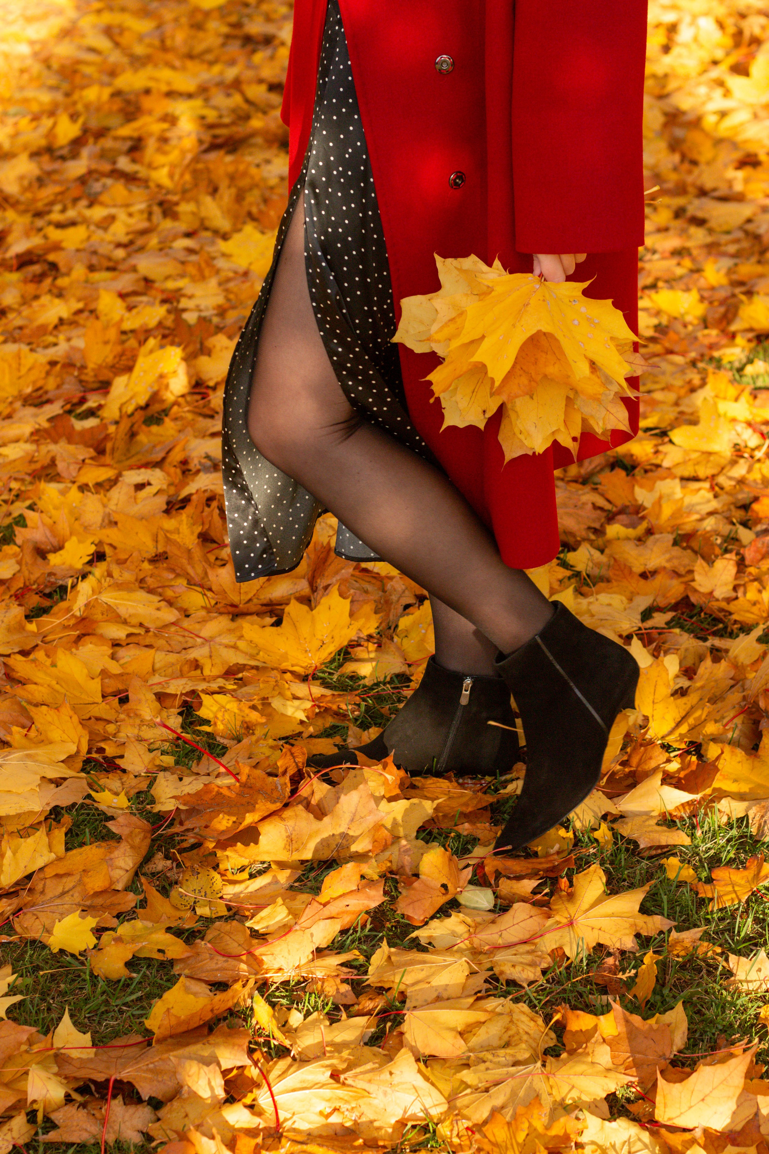 Мария. Осень в Риге. Бережно сохраняю ваши чувства и истории на своих фотографиях