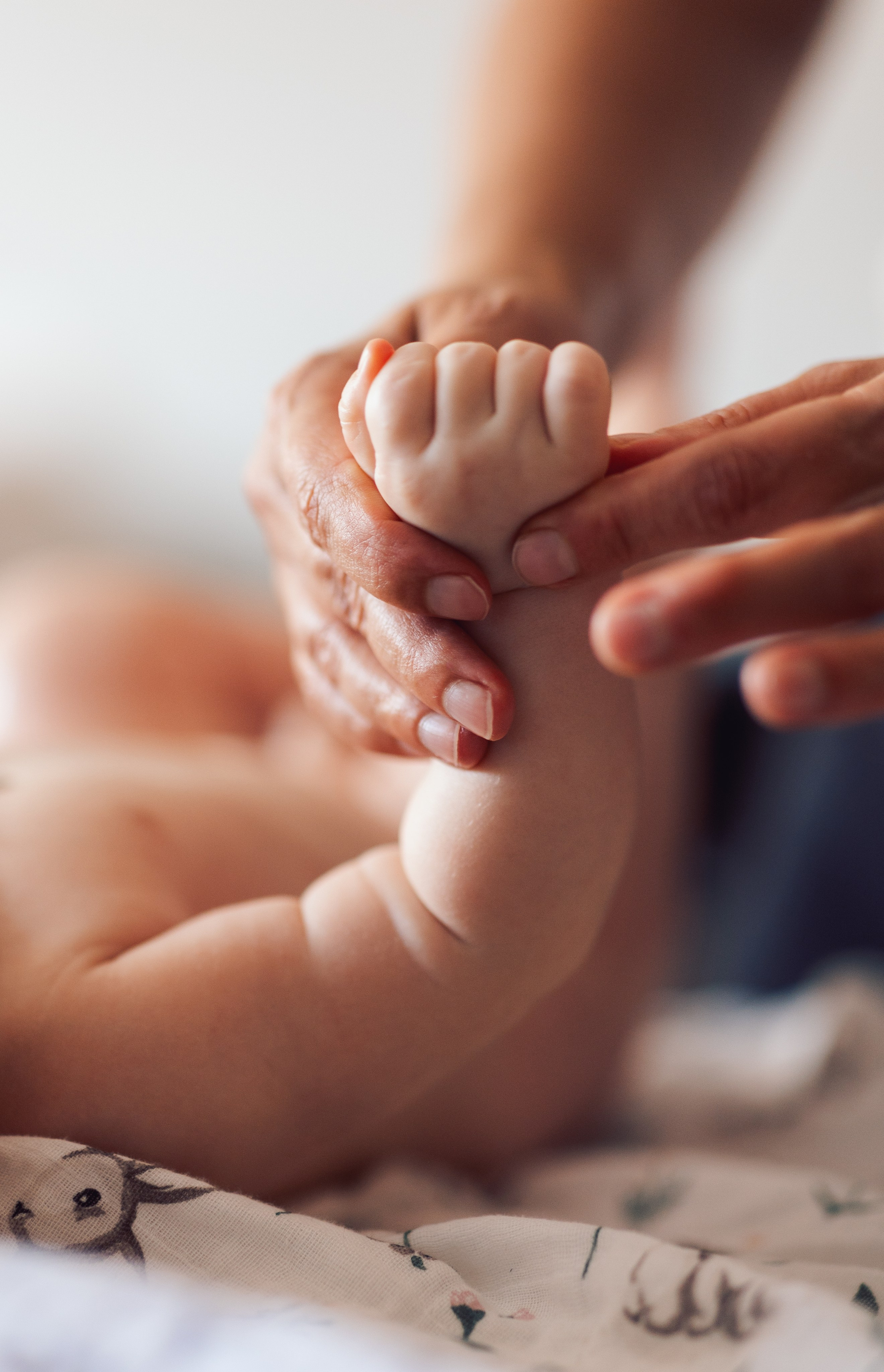 Контент-фото (бизнес-портреты для экспертов). Семейный и детский фотограф |Брянск| Анастасия Перепелкина