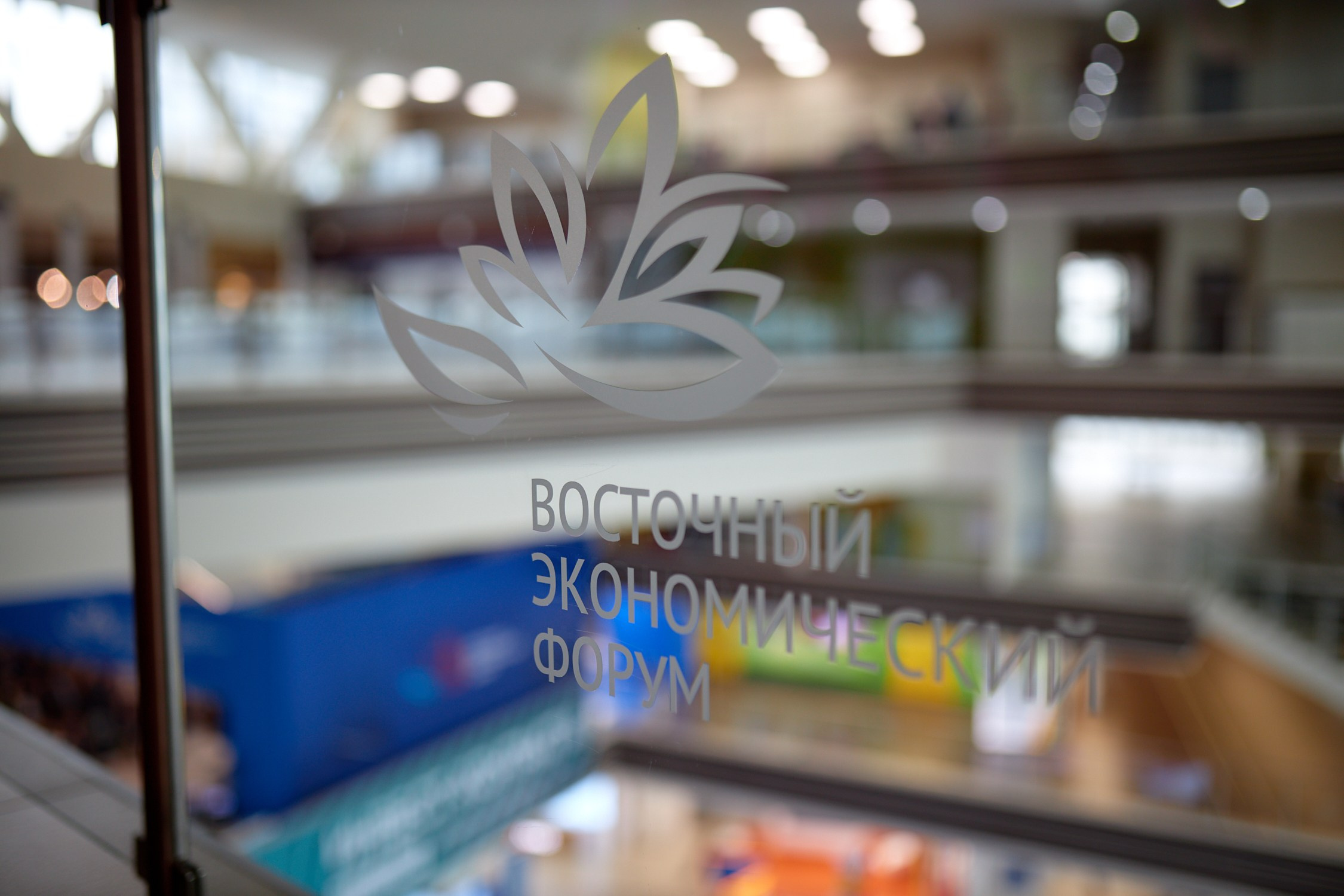 ВЭФ 2023. Репортажный фотограф Владивосток Анастасия Сокольникова