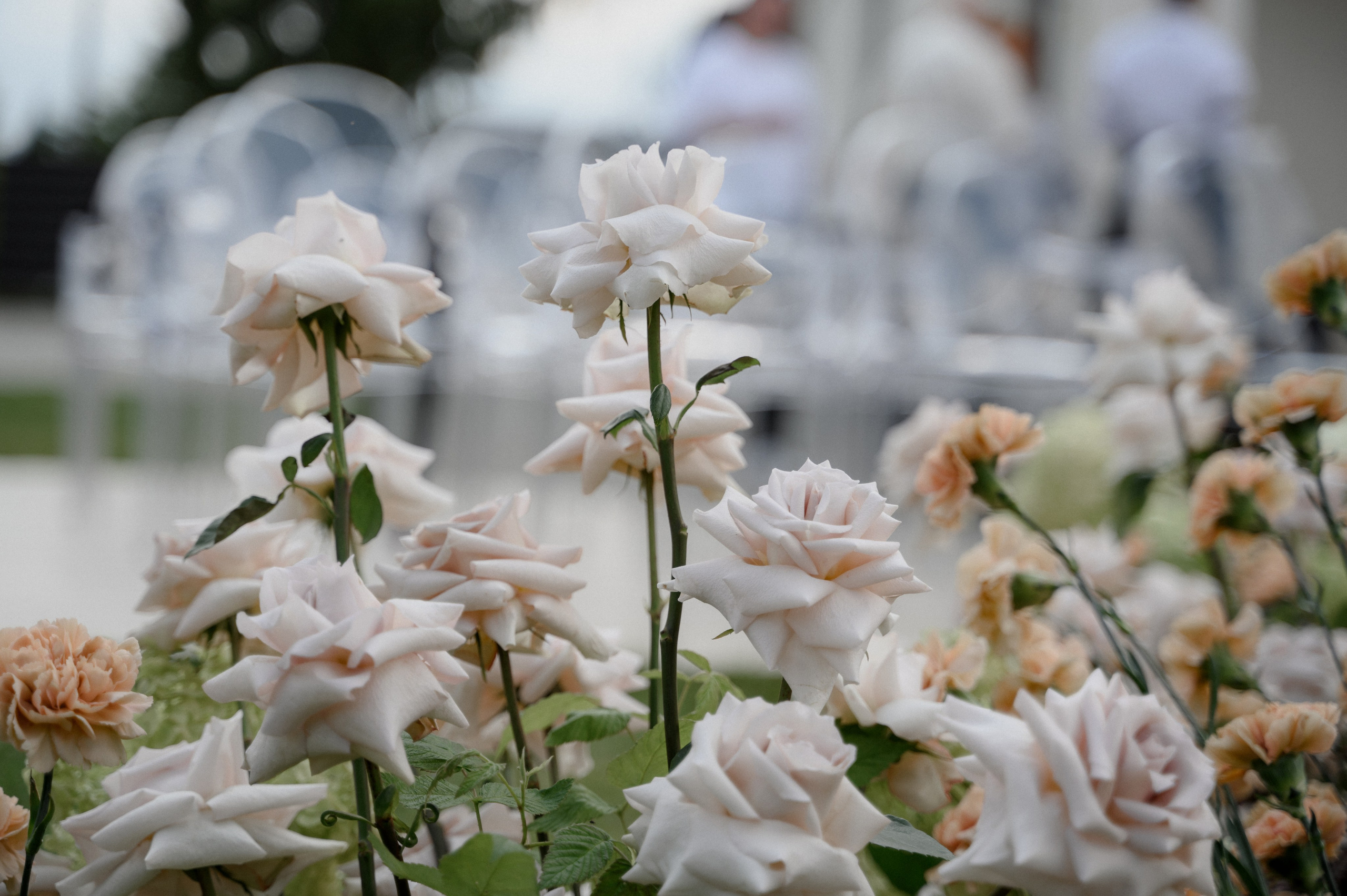 Эльшад и Настя. Свадебный фотограф Минск