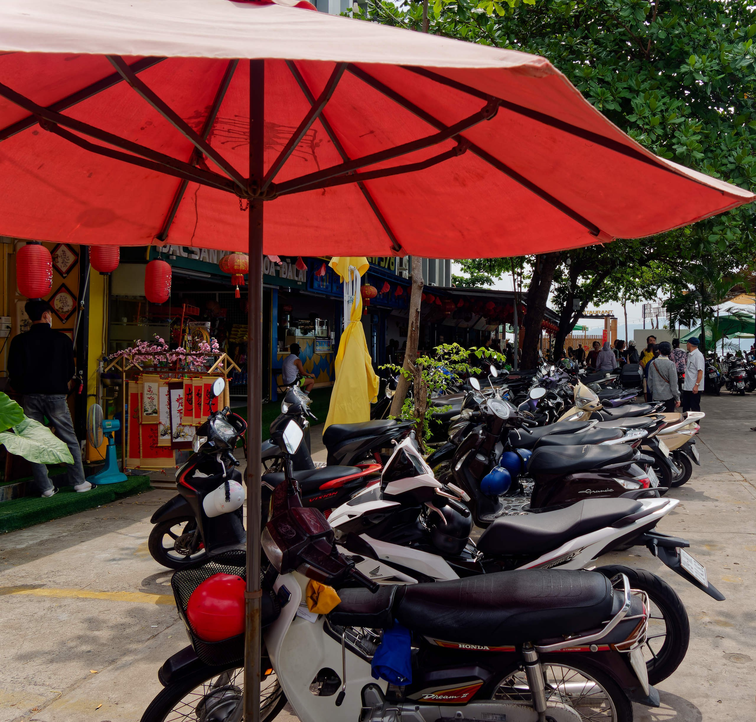 Нячанг 2025 (7). Избранные фотографии