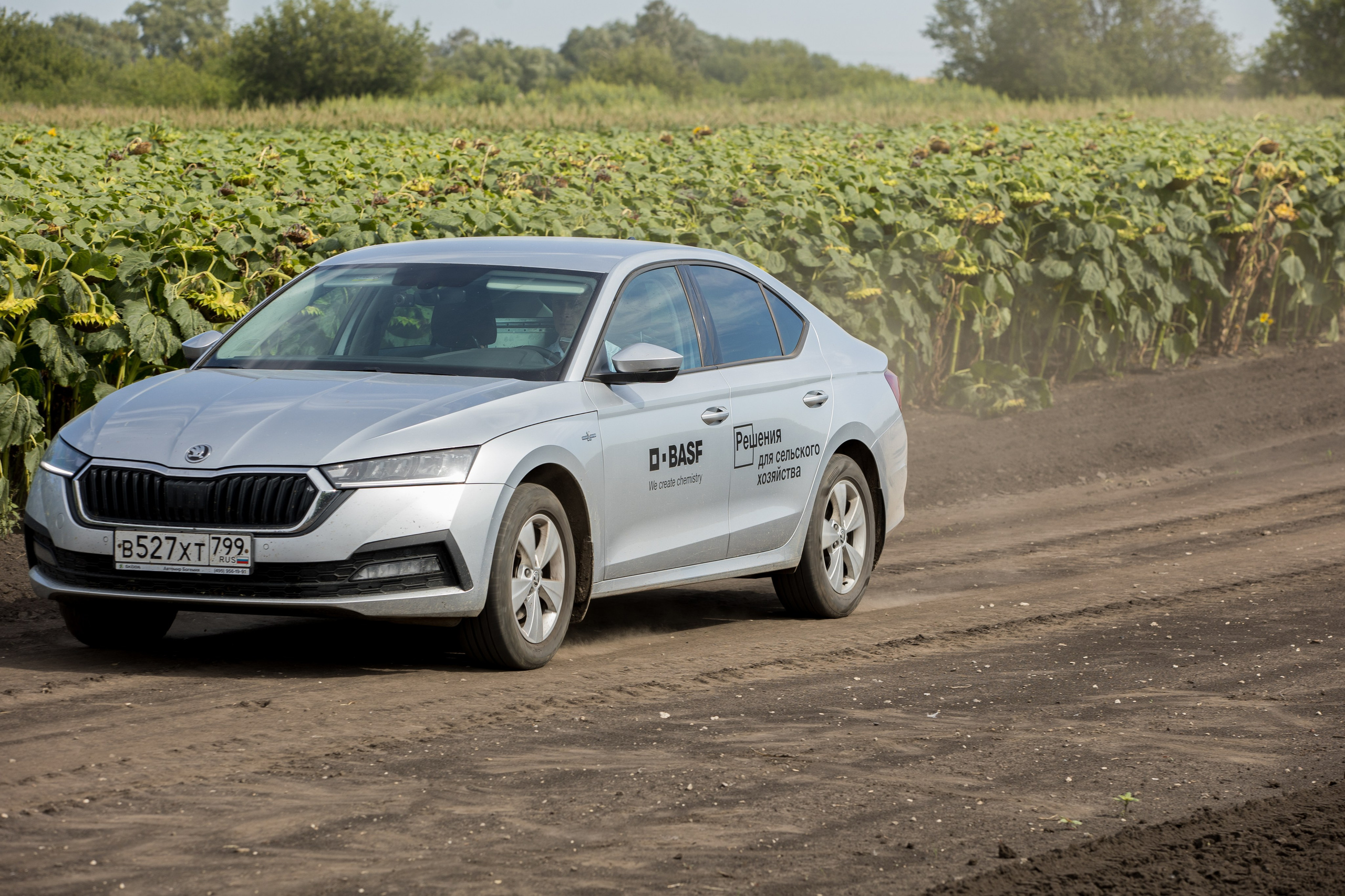 Решения для сельского хозяйства BASF 16.08.2022. Владислав Волков | Фотография и видеосъемка в Воронеже