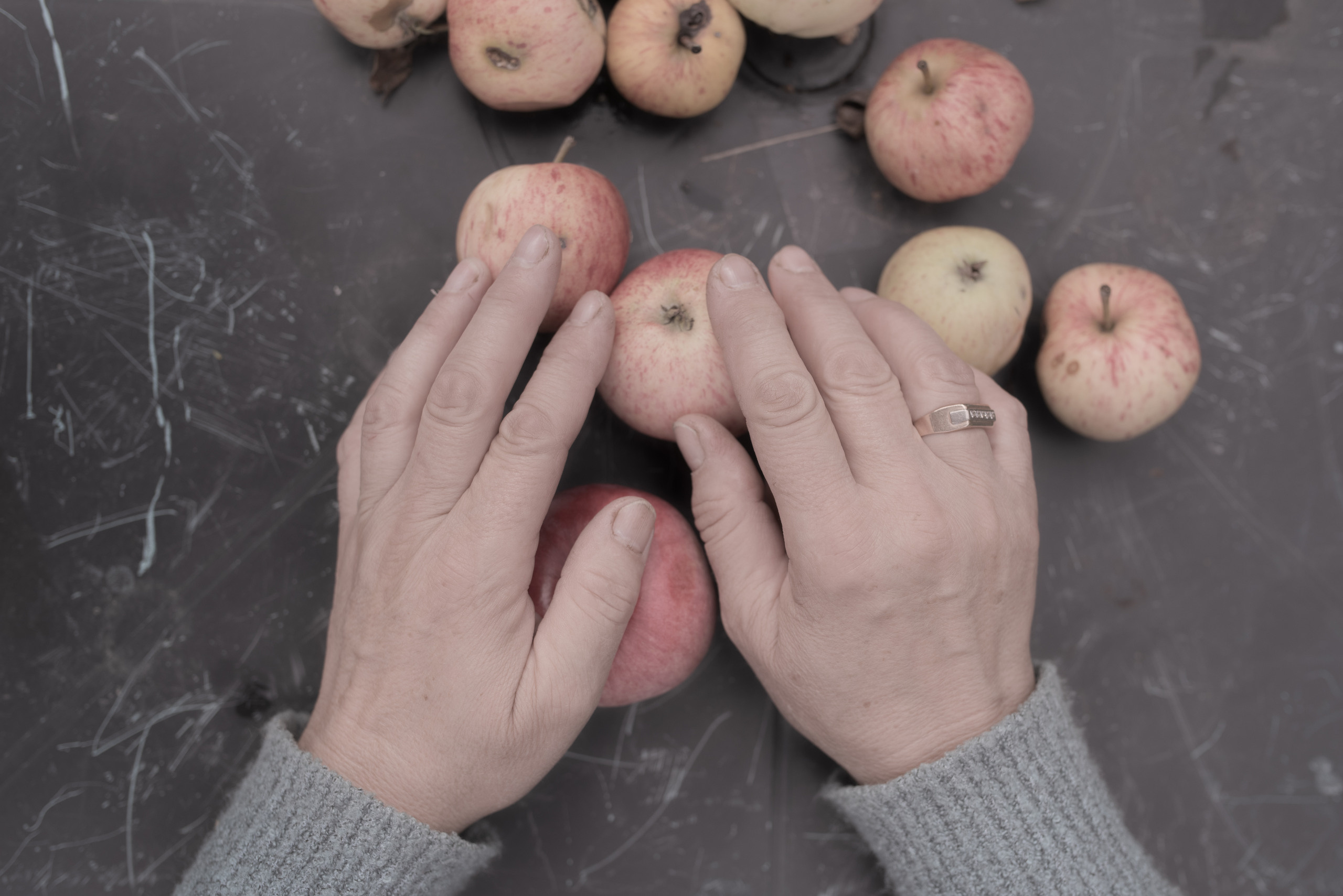 We Accept. Lesha Pavlov