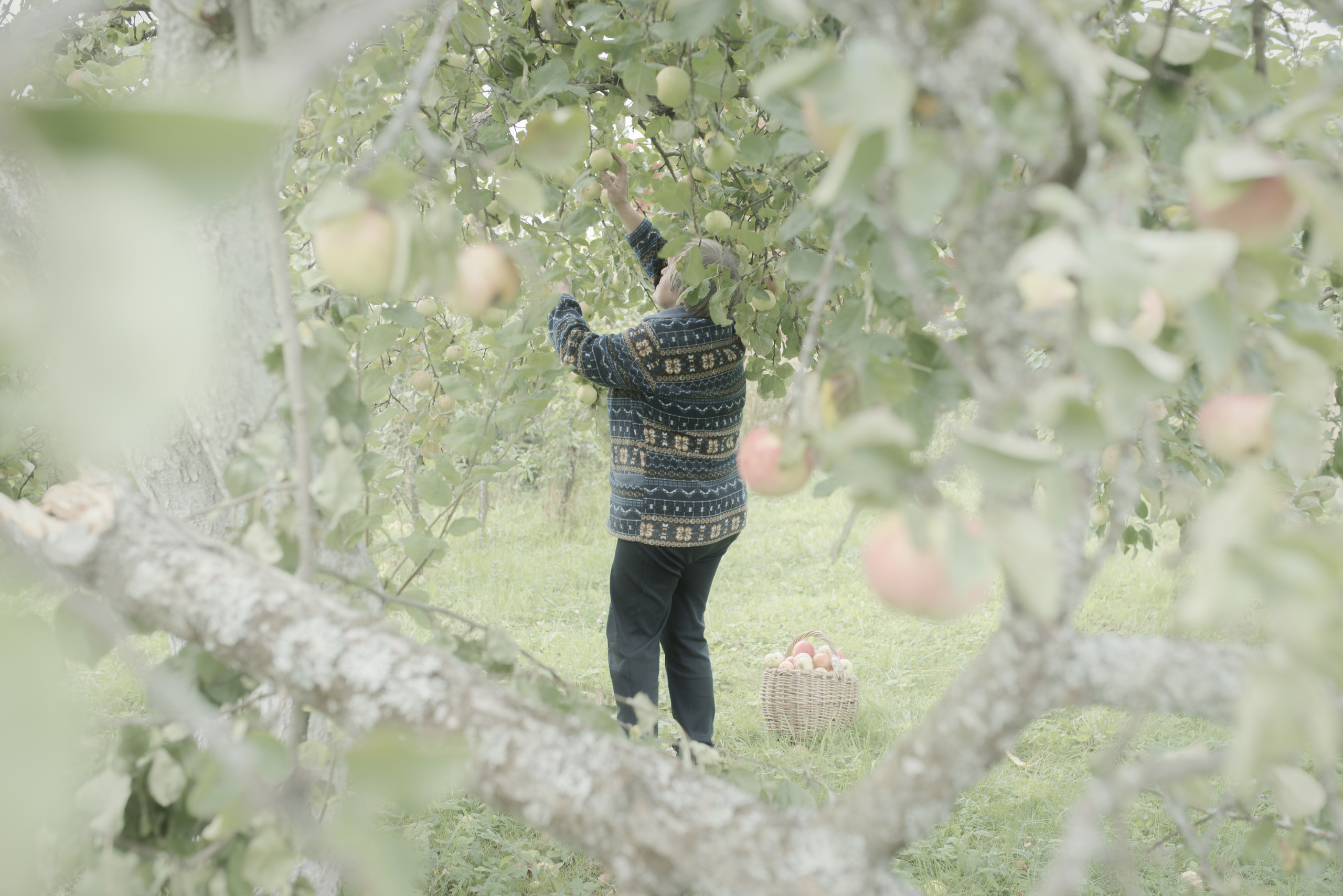 We Accept. Lesha Pavlov