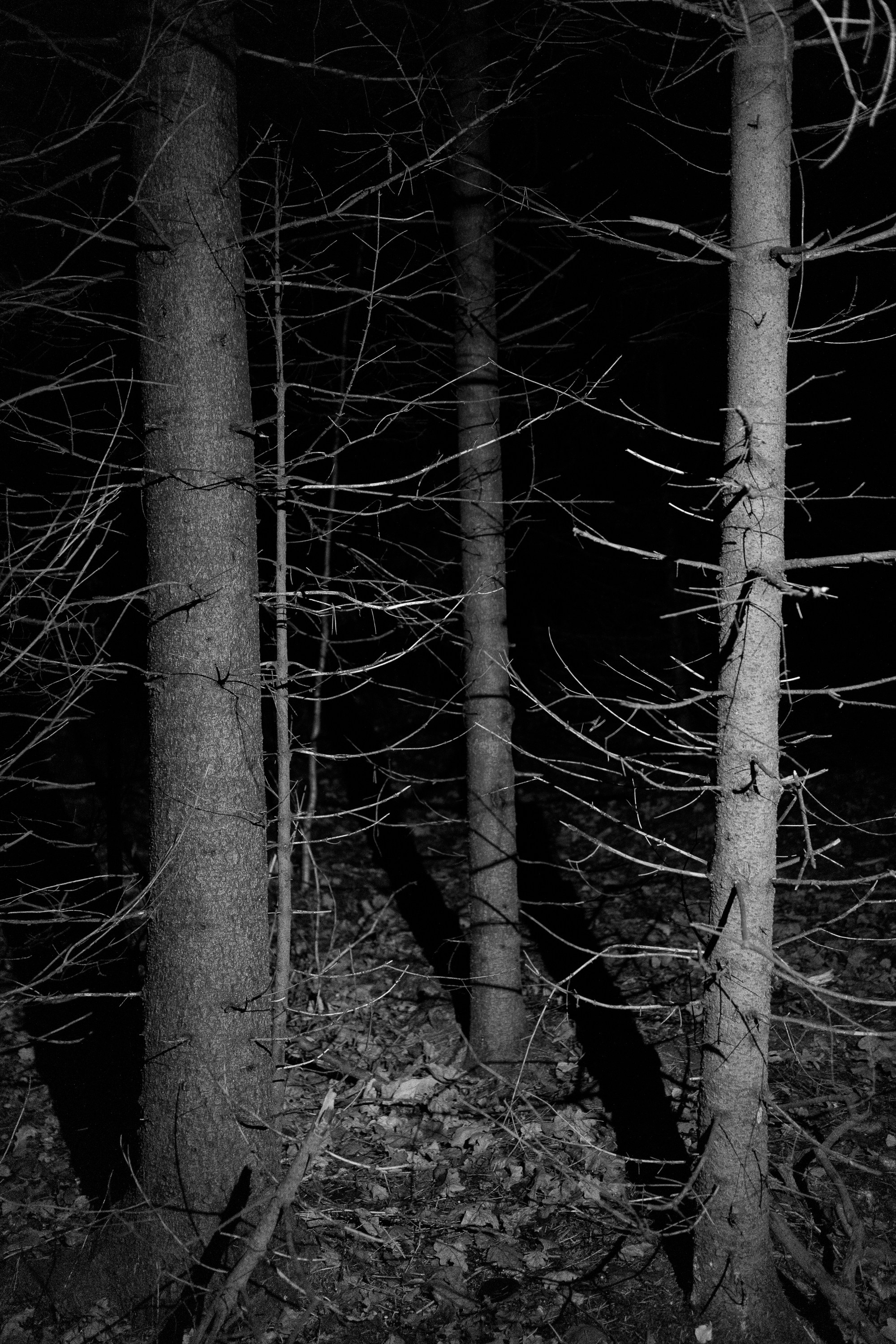 Юлия Леонова — фотограф, визуальный художник Минск