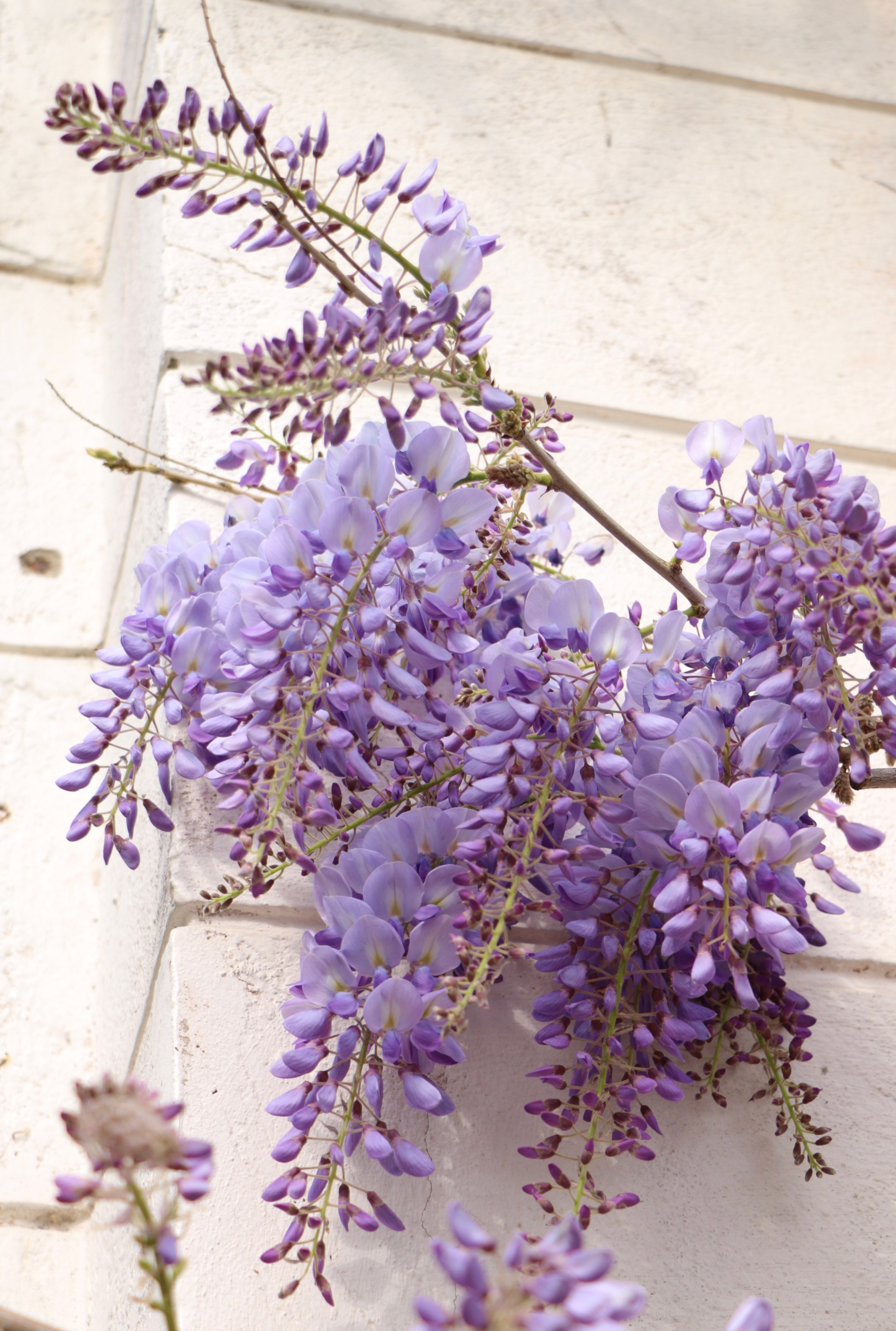 Природа. Семейный и детский фотограф в Ялте Ольга Солерина