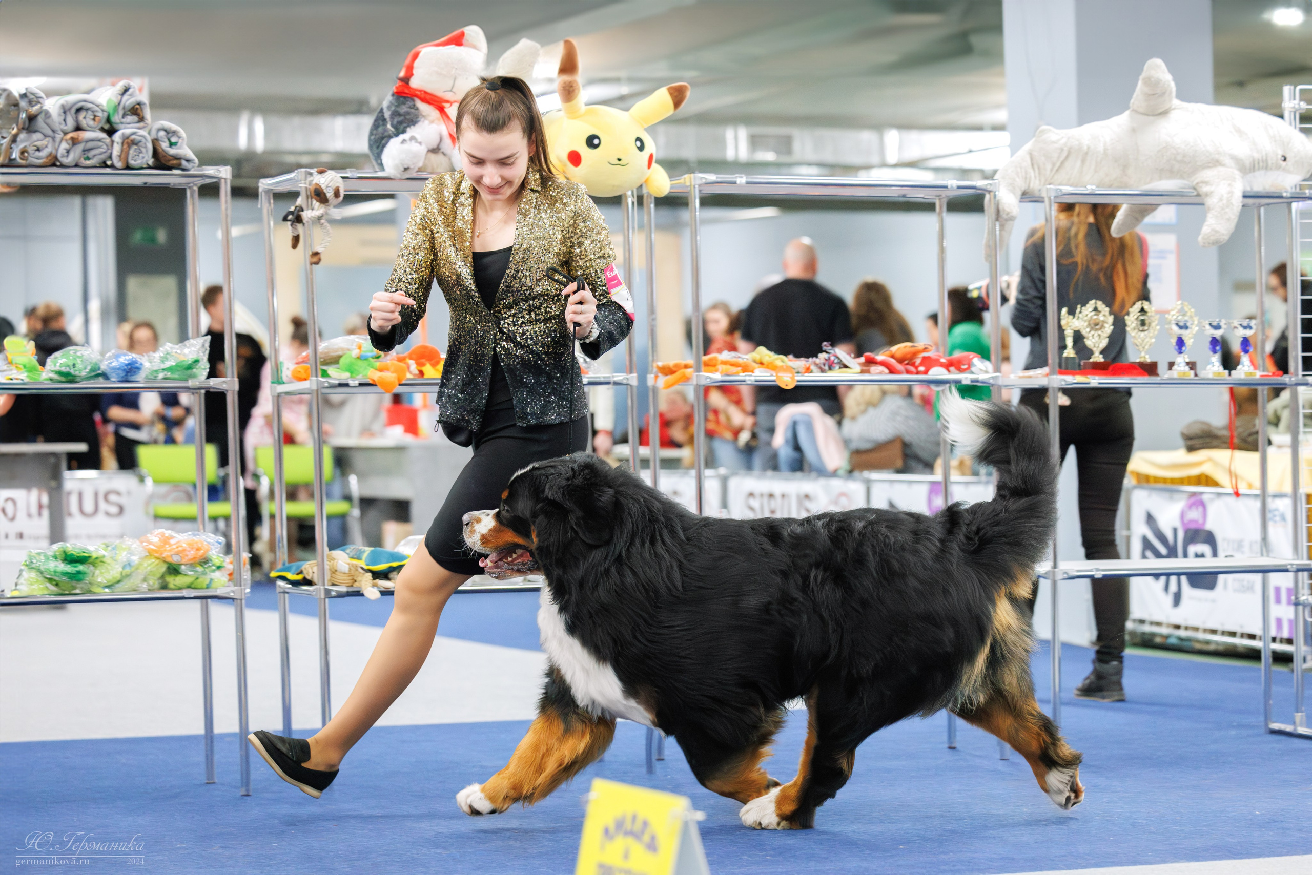 Сфера и Крокус 8,9,16 и 30.03.2025. Фотограф-анималист Юлия Германика