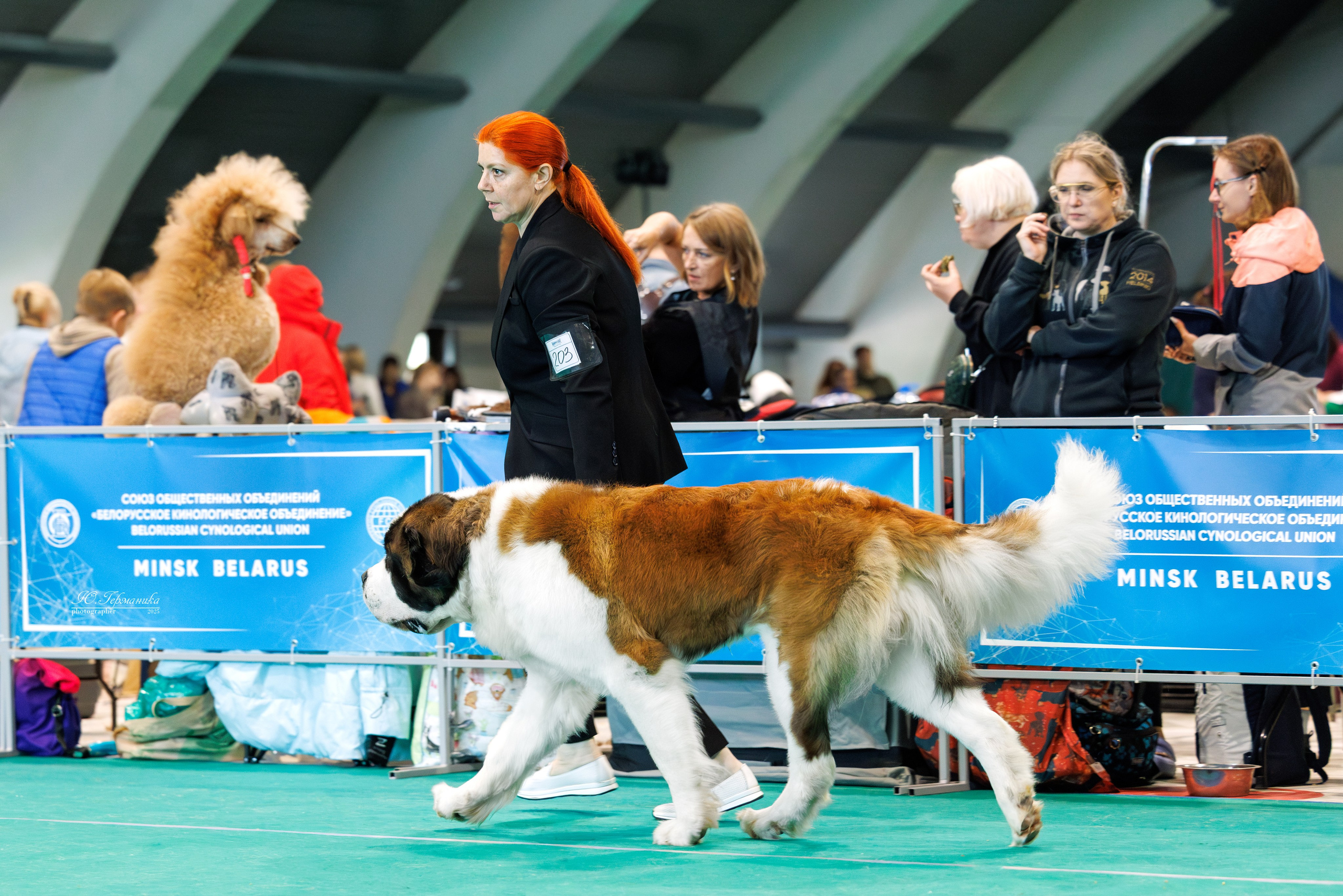 Минск 31.05-1.06.2025. Фотограф-анималист Юлия Германика