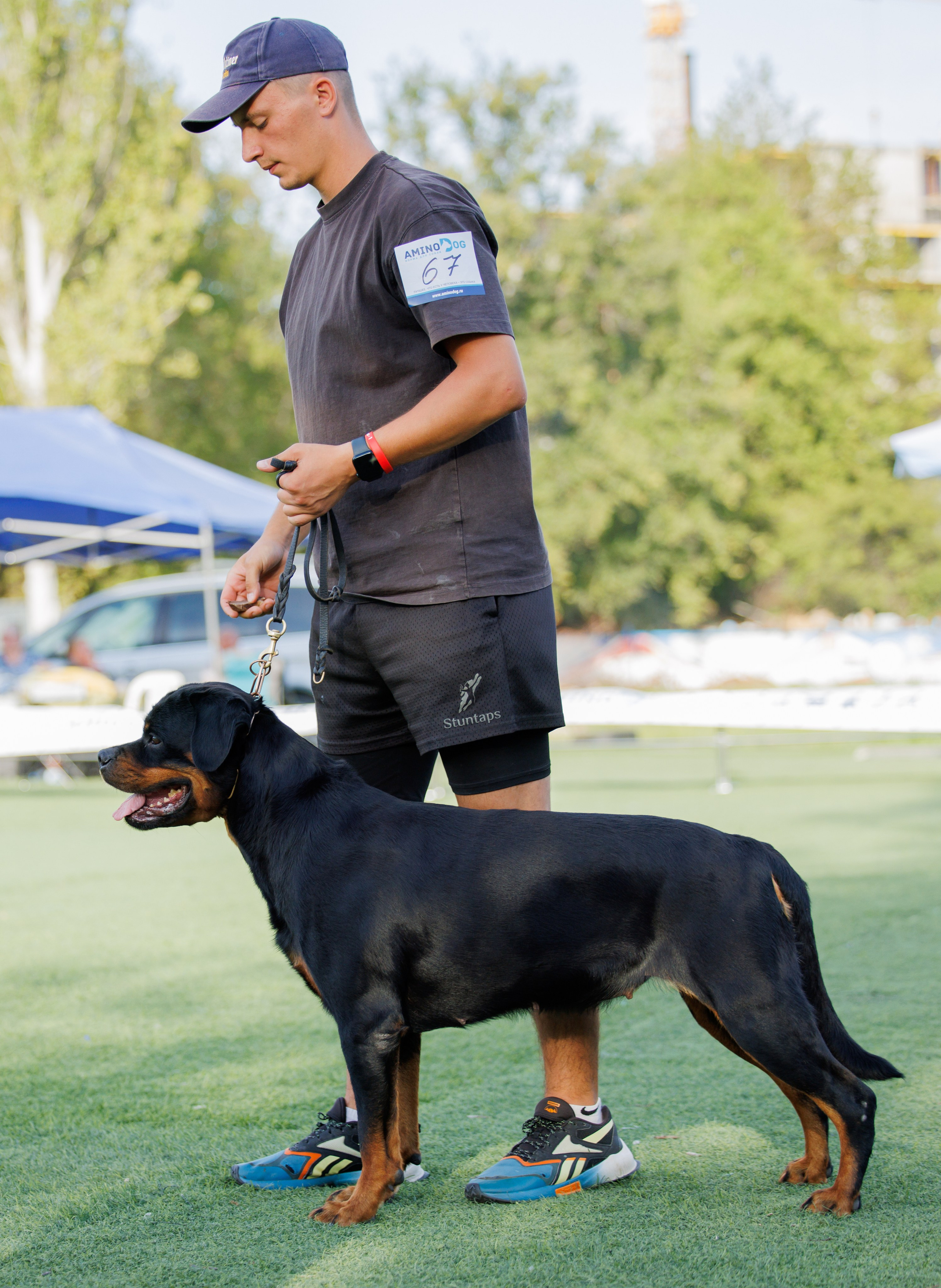 Анапа ротвейлеры 14-15.09.2024. Фотограф-анималист Юлия Германика