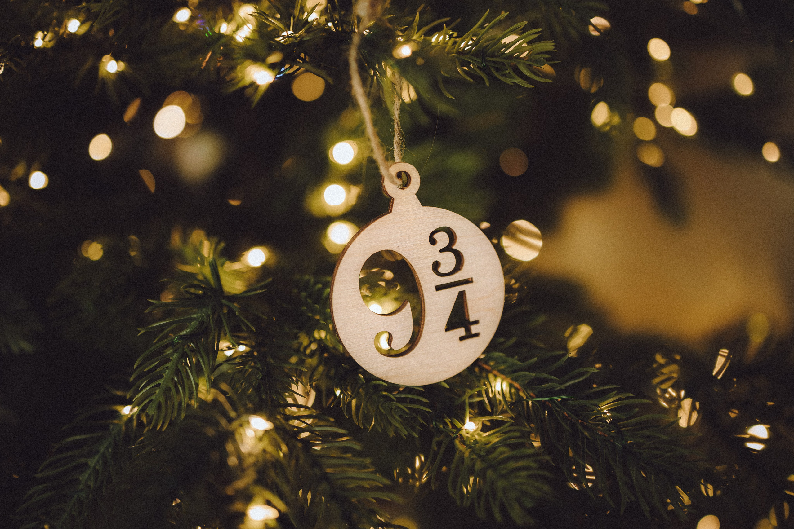 Топик и его семья