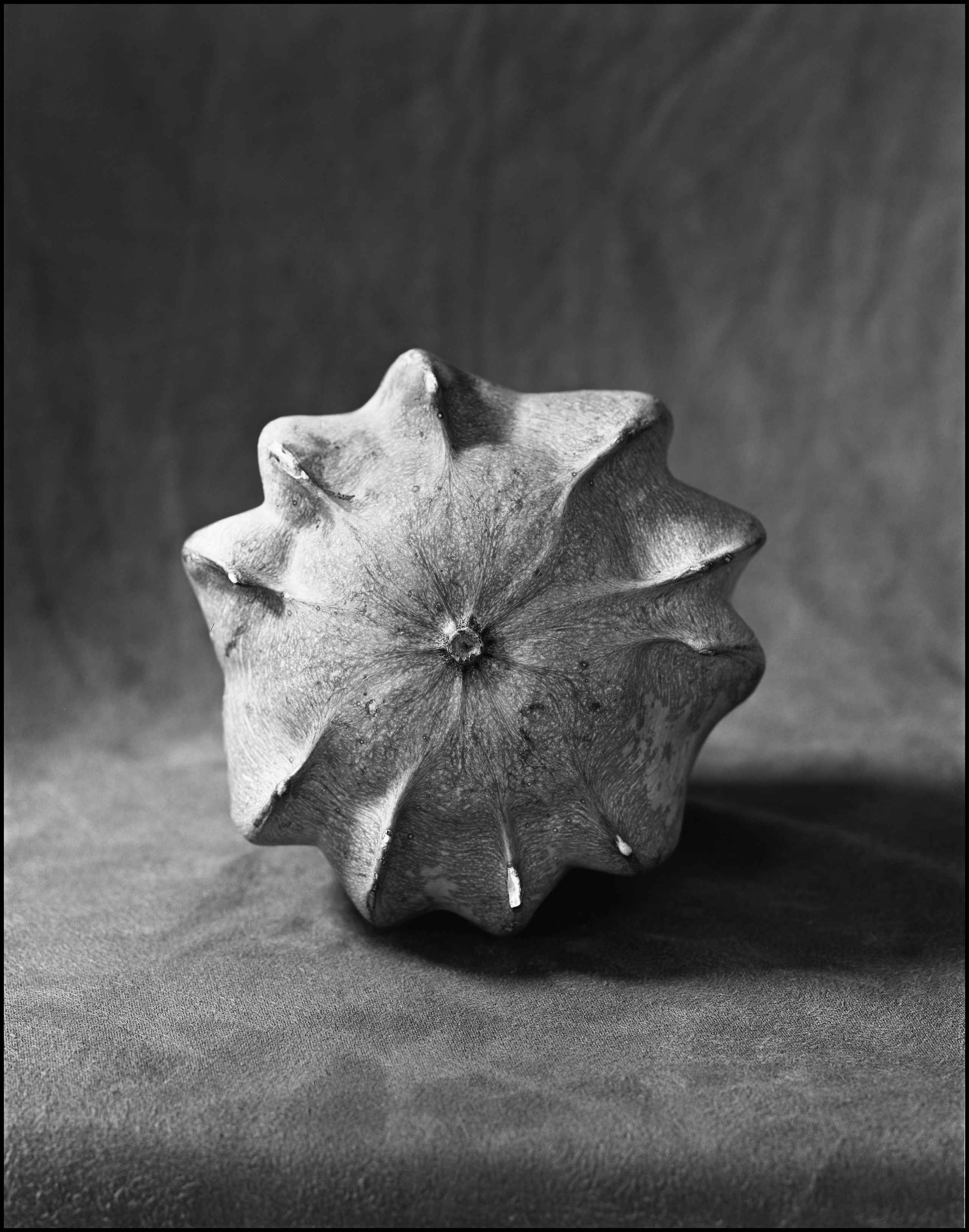 Натюрморт. Кондрюк Сергей фотограф |художник