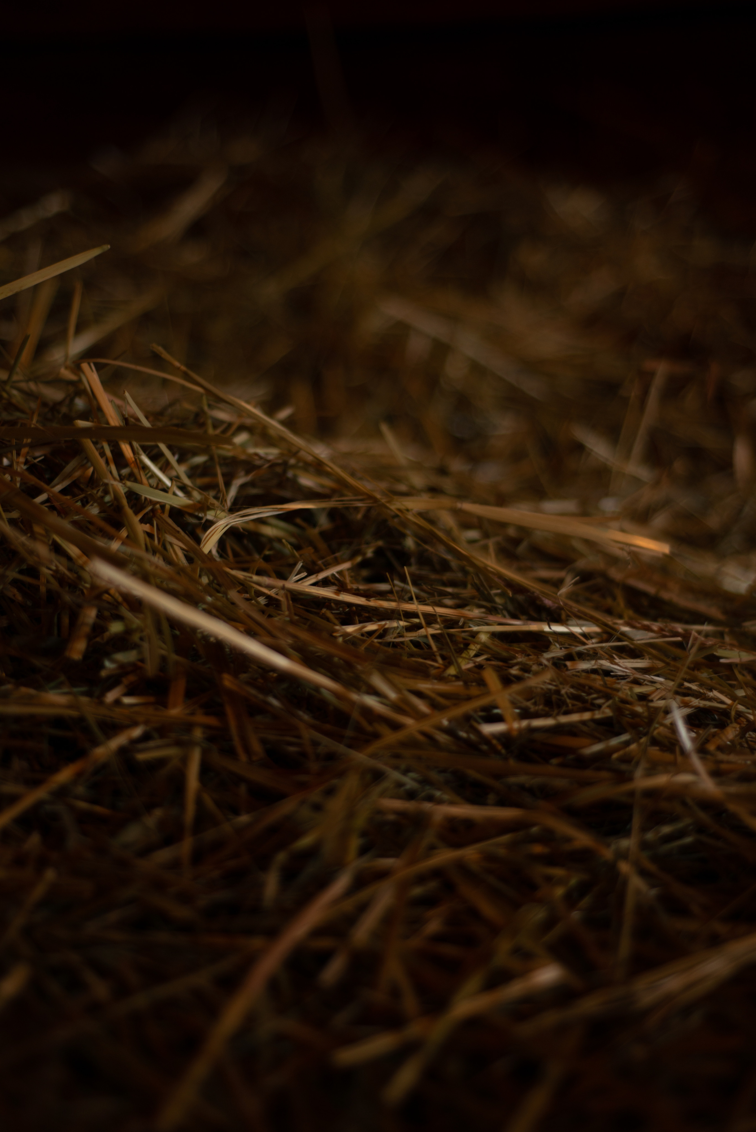 Баня. Фотограф Валерия Тенникова