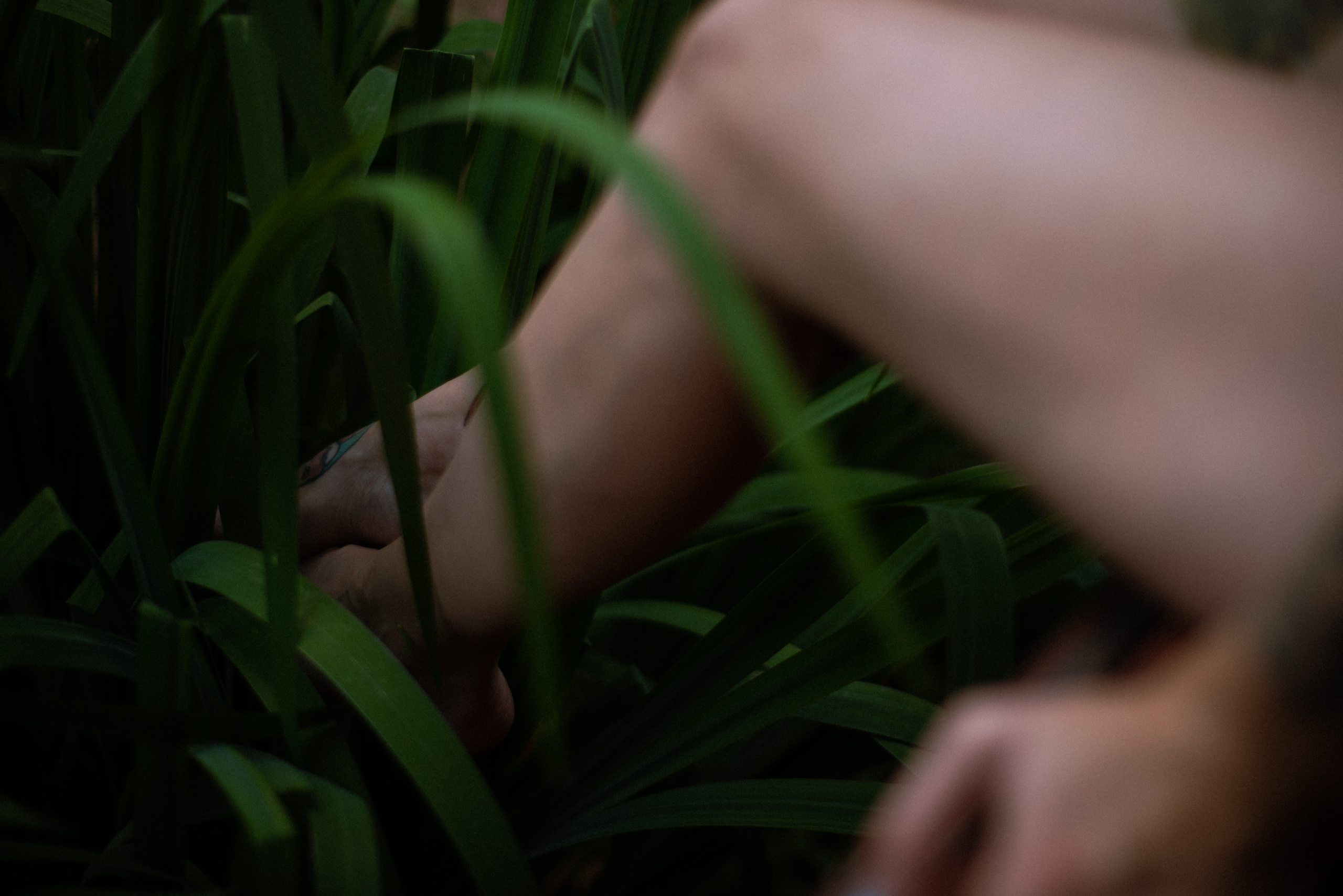 Настя. Фотограф Валерия Тенникова