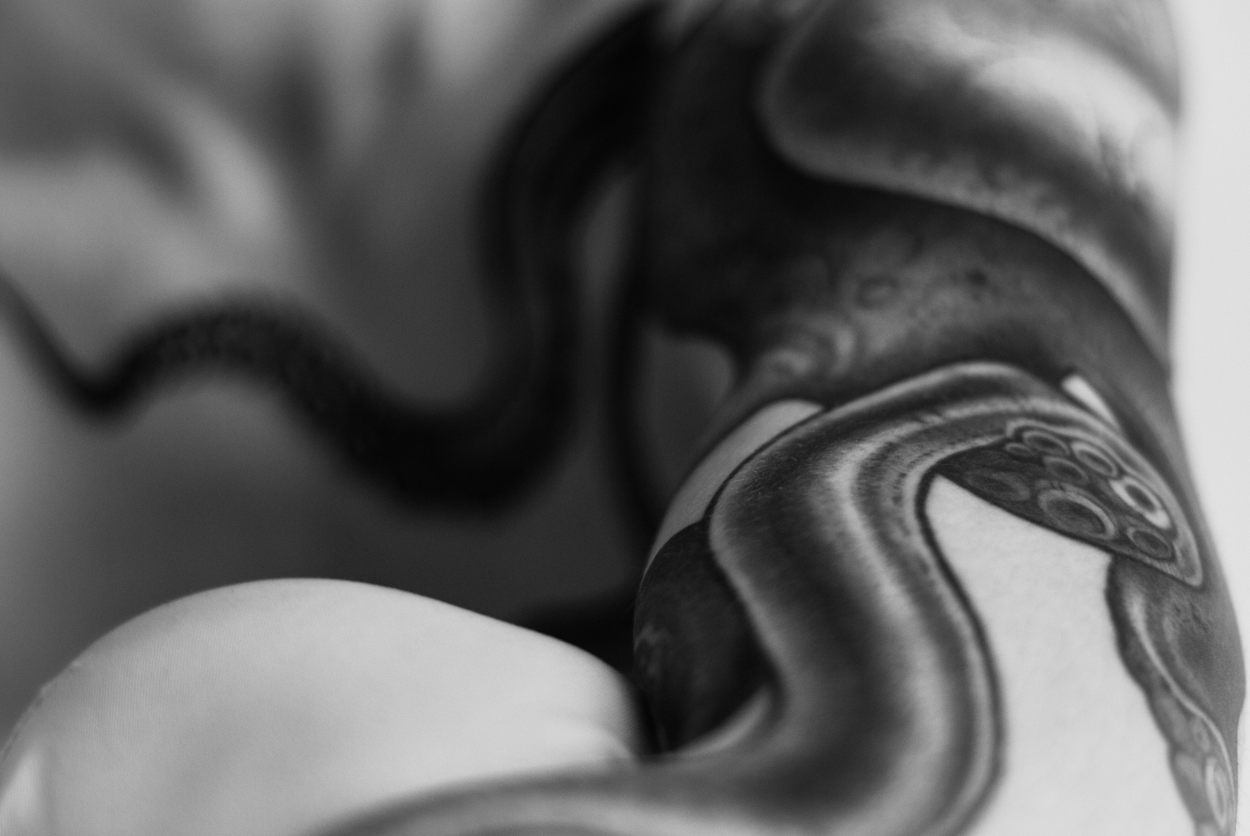 Сережа. Фотограф Валерия Тенникова