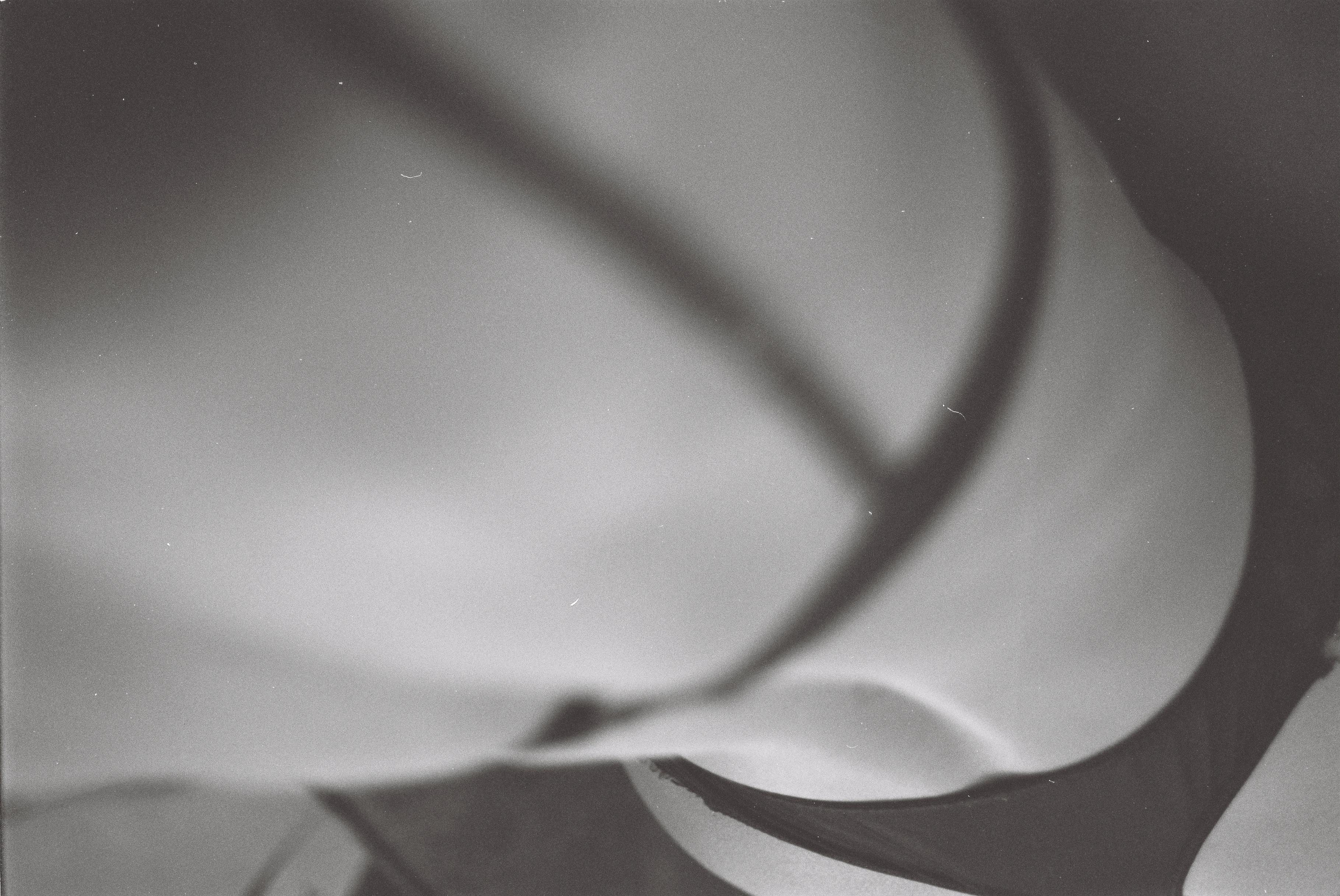 Вика. Фотограф Валерия Тенникова