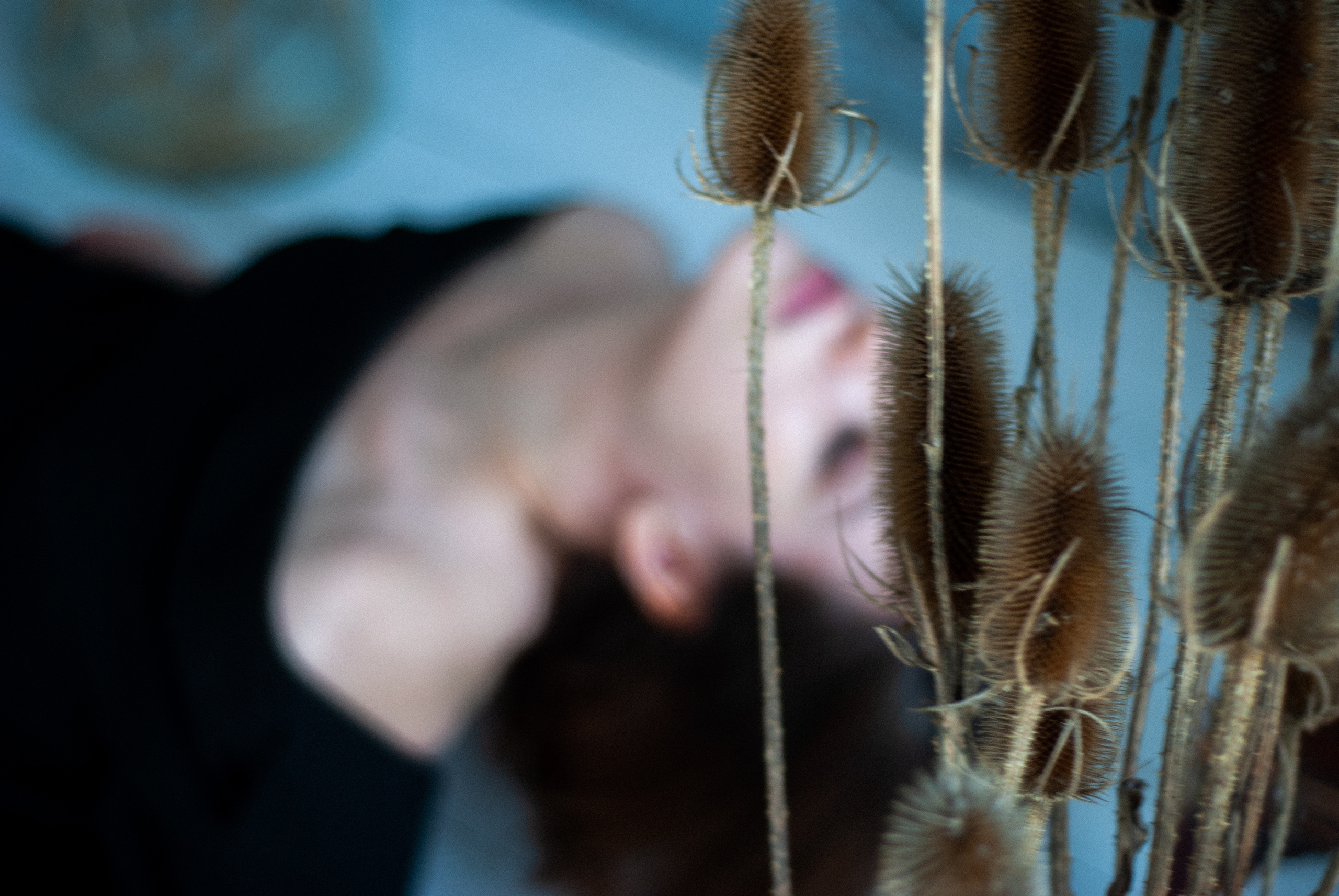 Алиса. Фотограф Валерия Тенникова