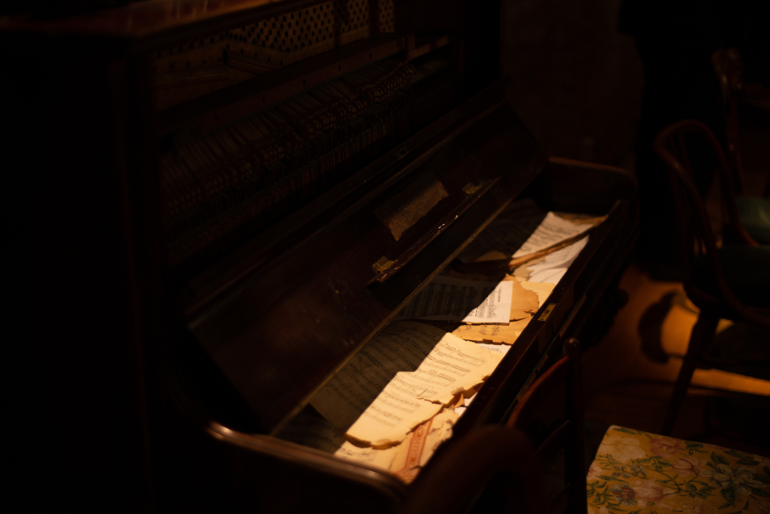 Вечер стихов. Фотограф Валерия Тенникова