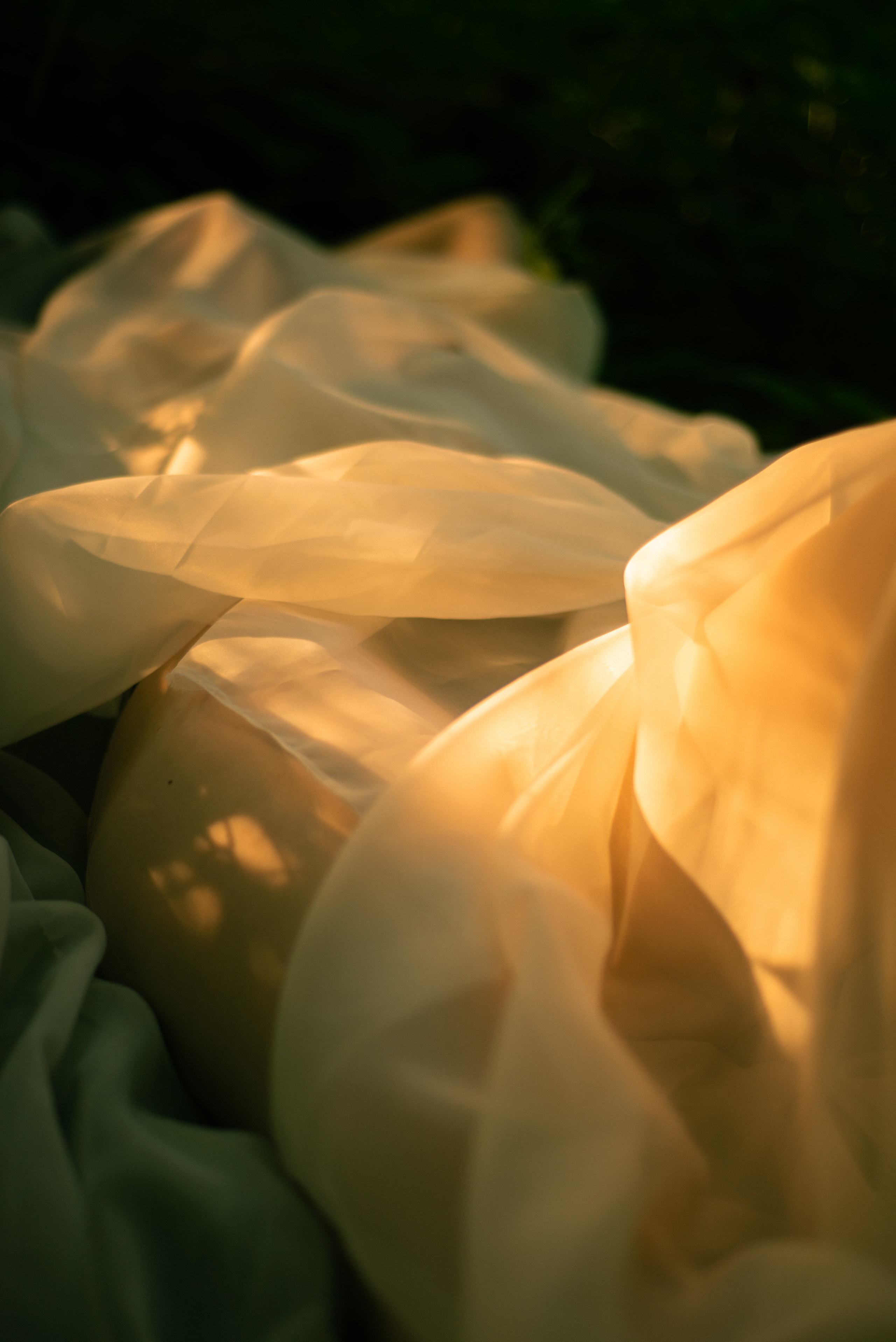 Маша. Фотограф Валерия Тенникова