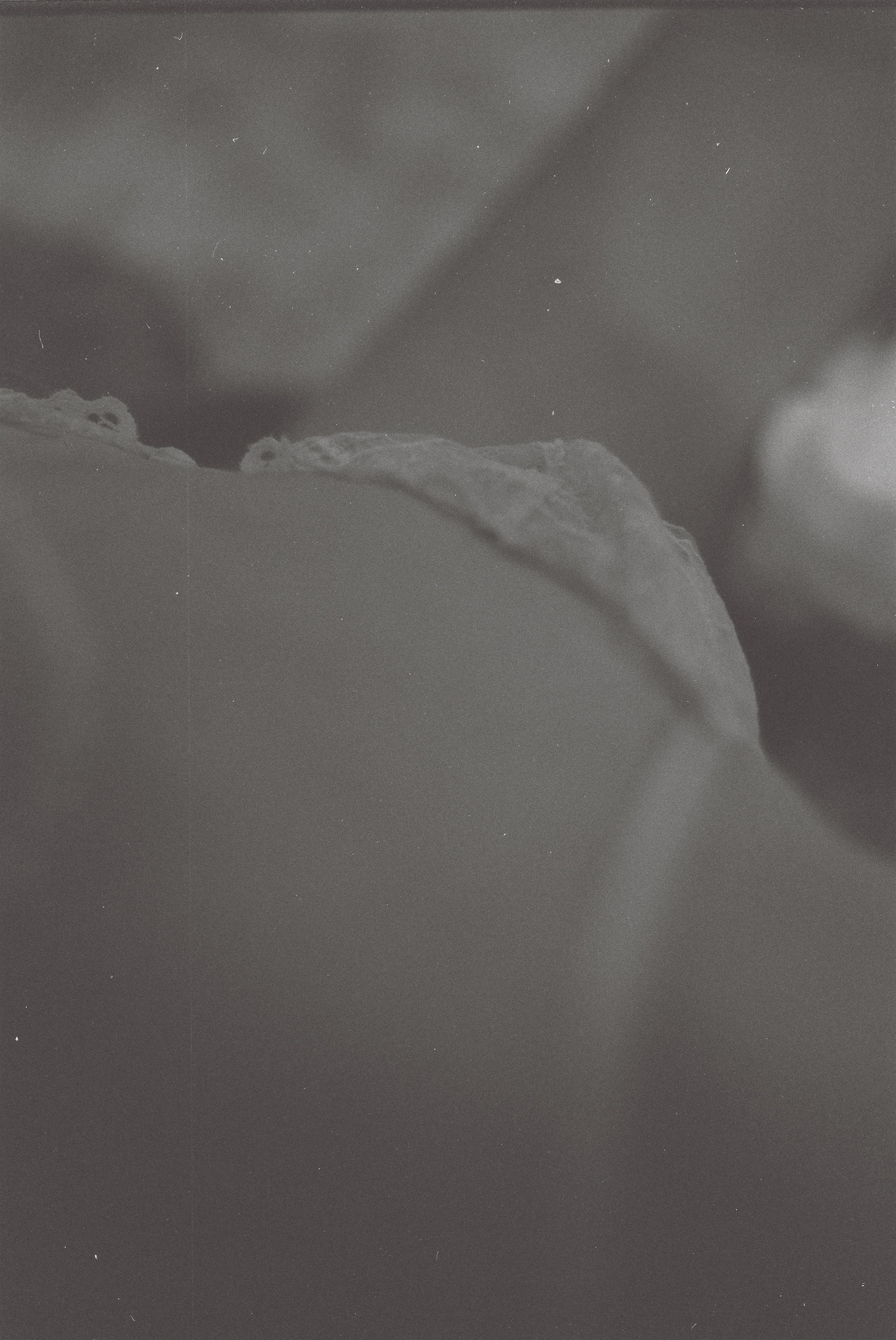 Юля. Фотограф Валерия Тенникова