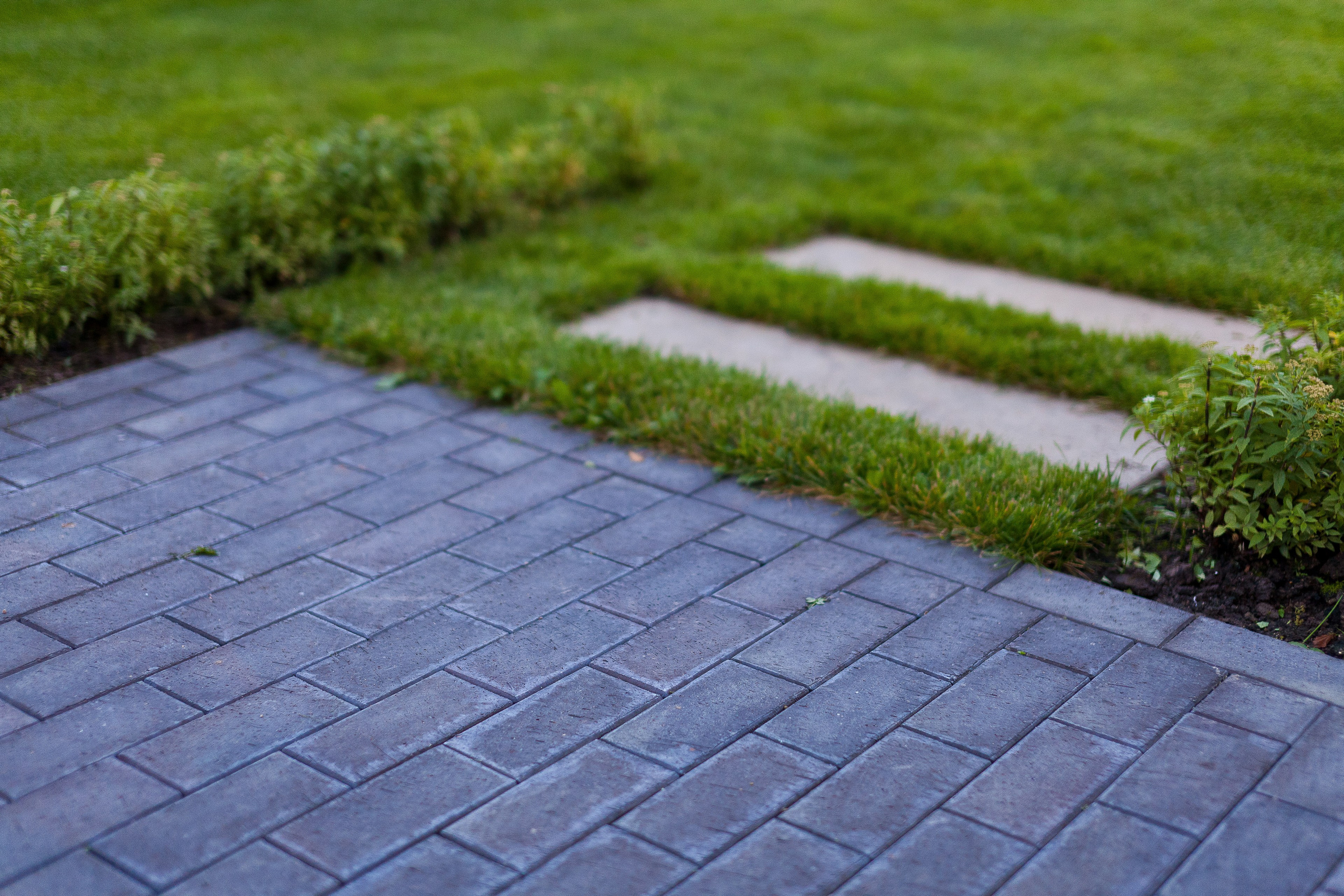 Ландшафт. Новый год 2026