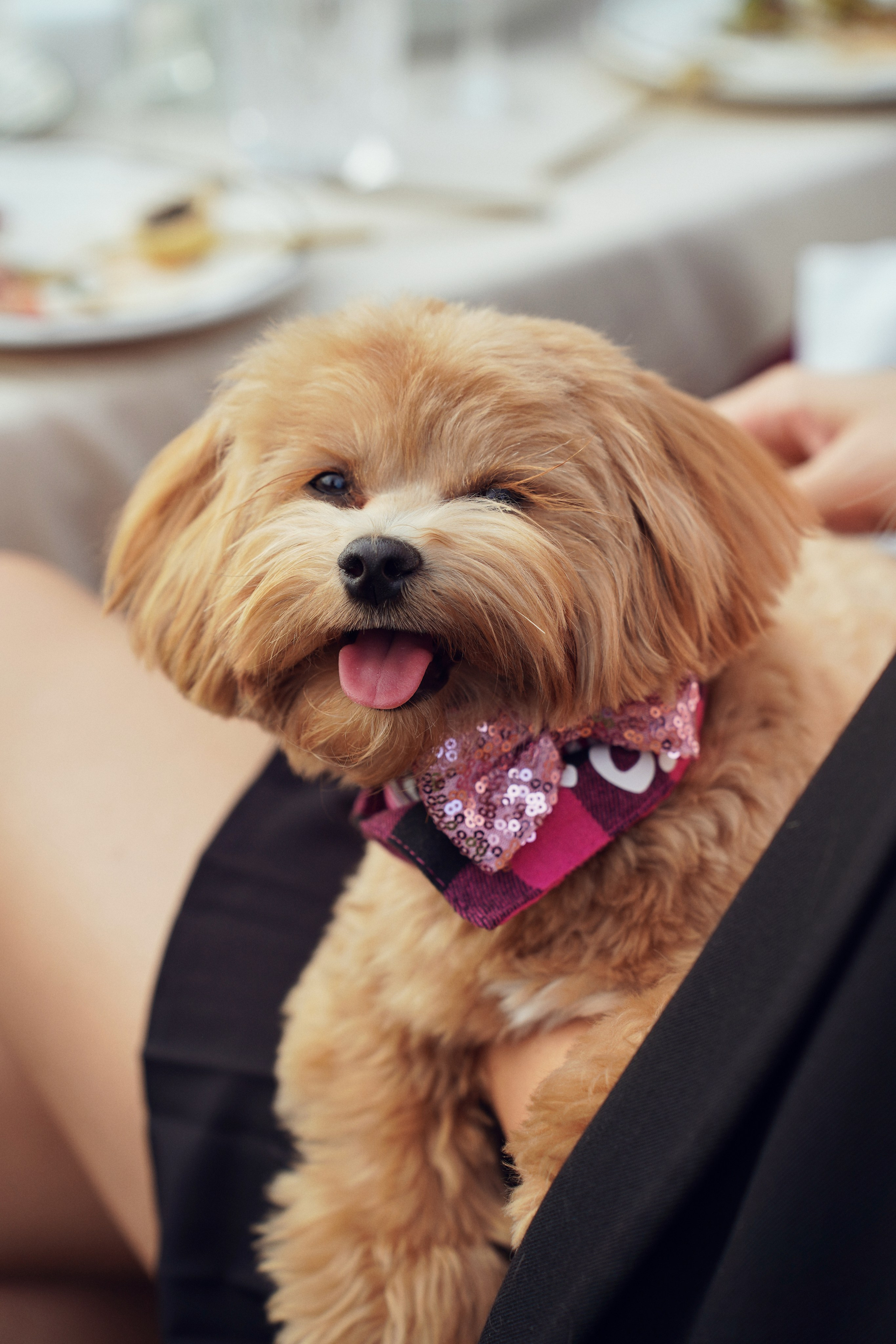 День Рождения Екатерина. Фотограф