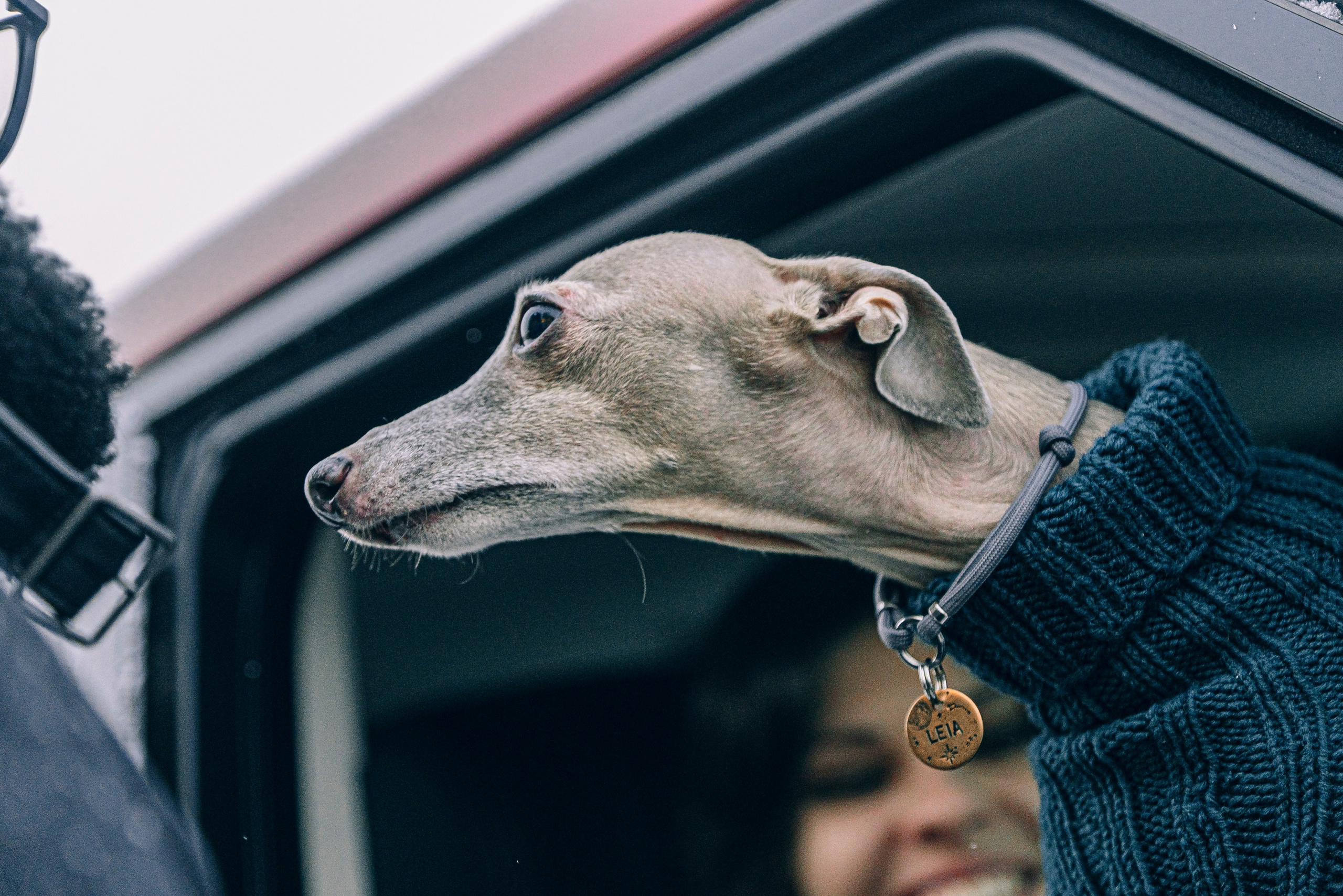 Автопутешествие по России на Range Rover, Discovery , Defender. Жуков Илья  свадебный фотограф в Москве