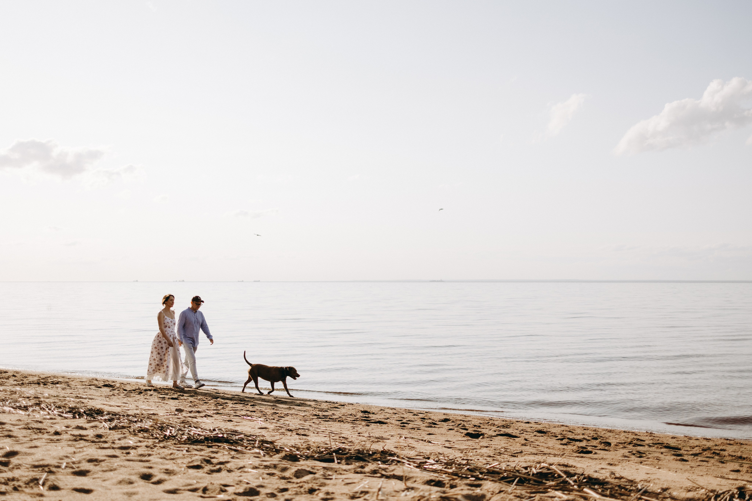 Бонни и ее семья. Фотограф — Анималист | Санкт-Петербург