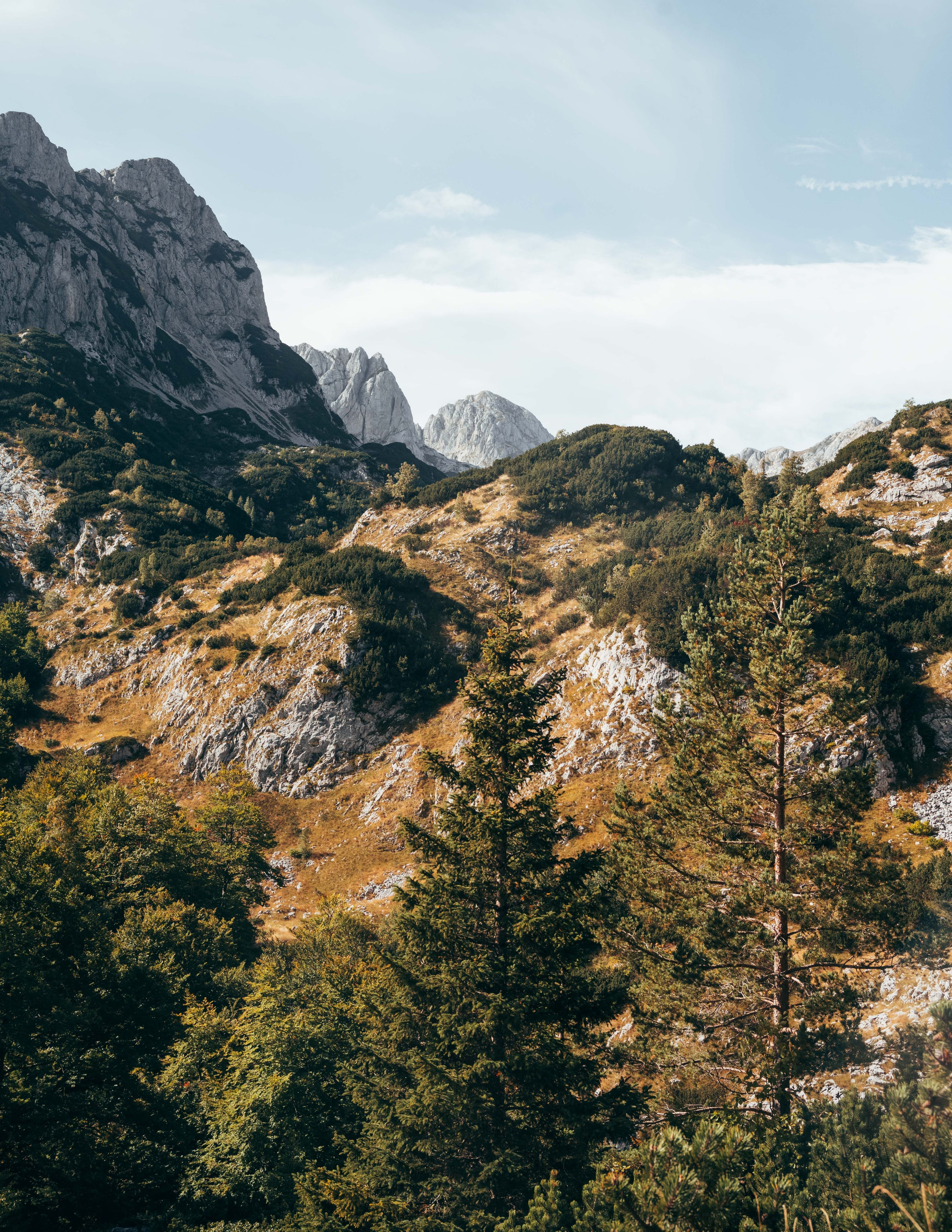 ДОЛИНА ЛОКВИЦЕ. ЧЕРНОГОРИЯ. Фотограф в Белграде Чугреева Елена