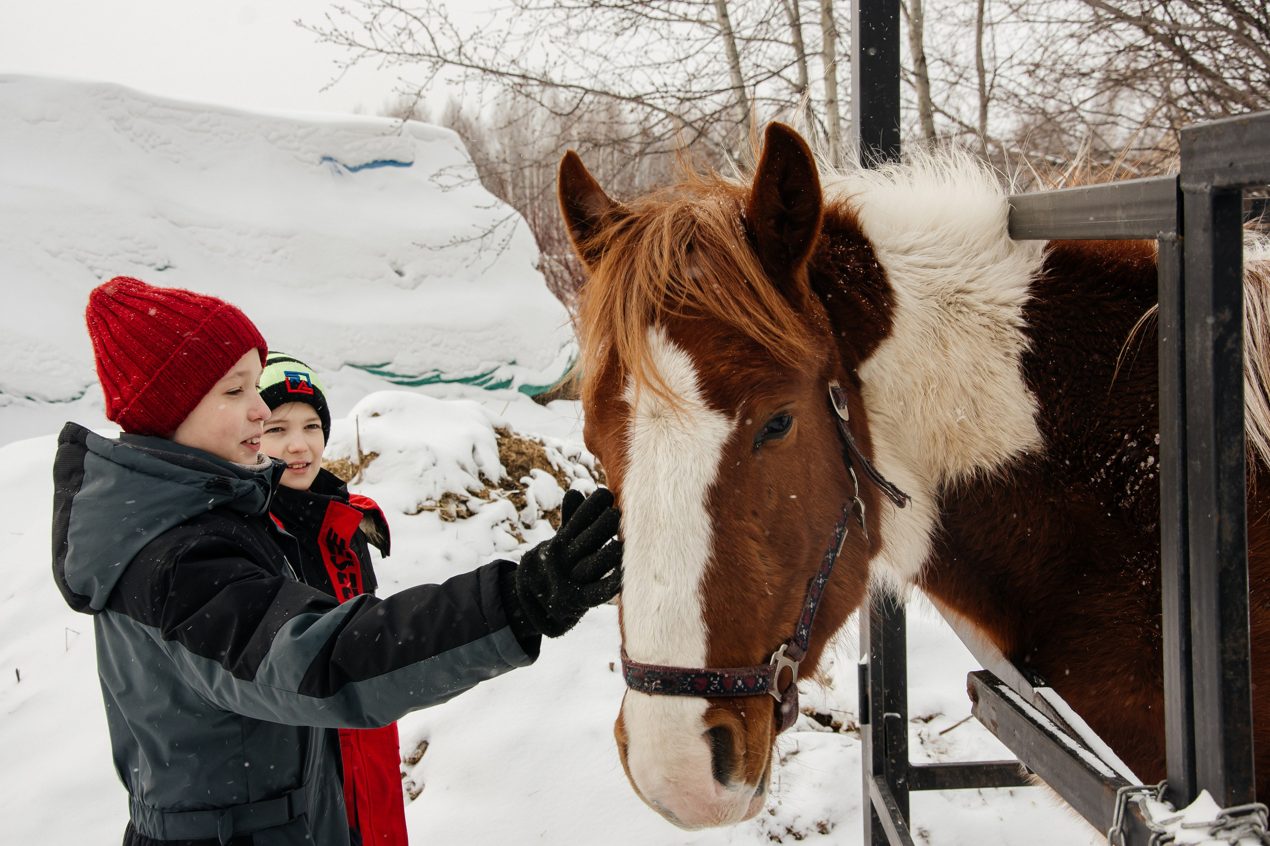 Детская прогулка. Фотограф на все случаи