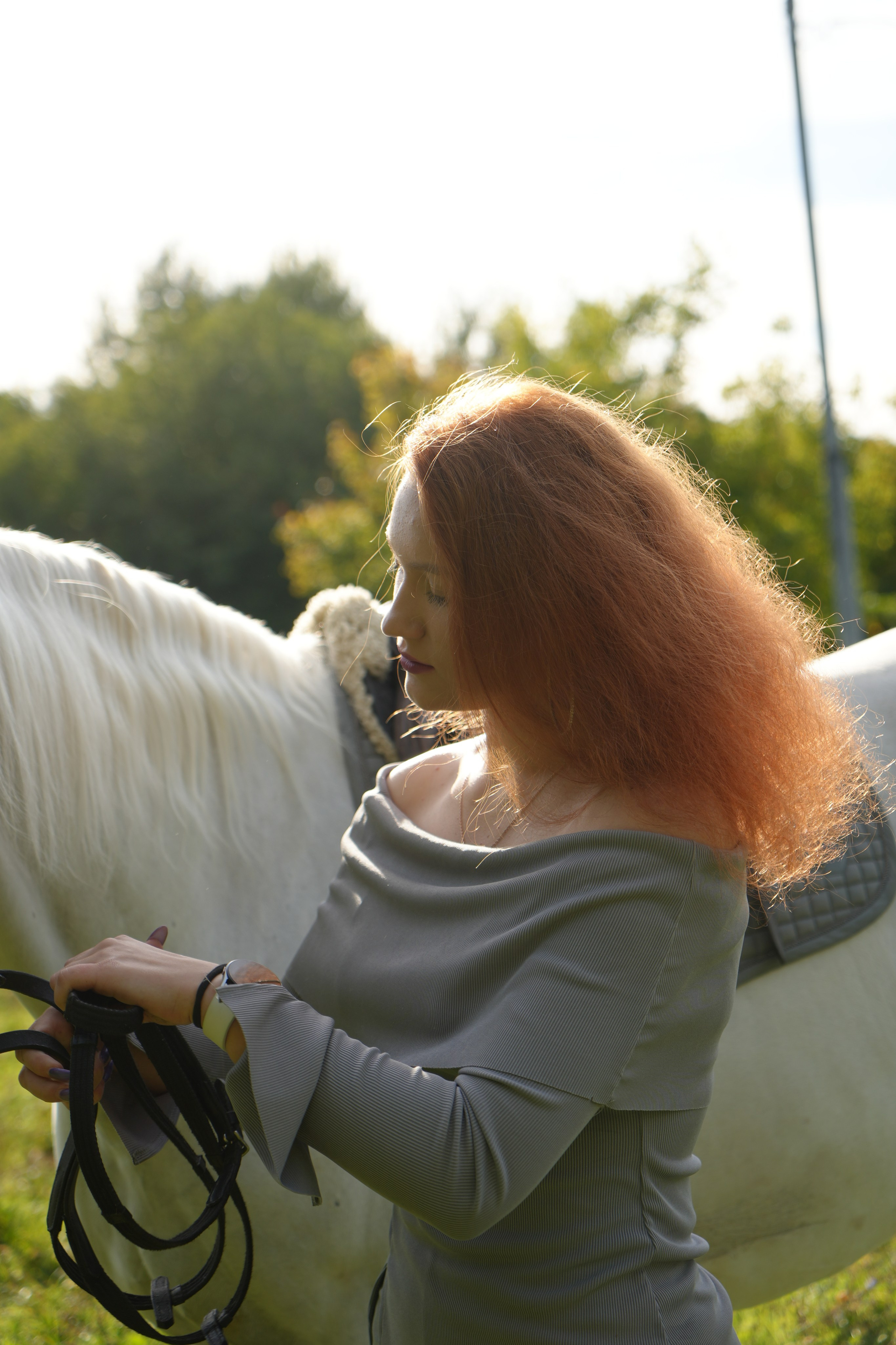 Фотосессия с лошадью. Видеограф и Фотограф в Москве