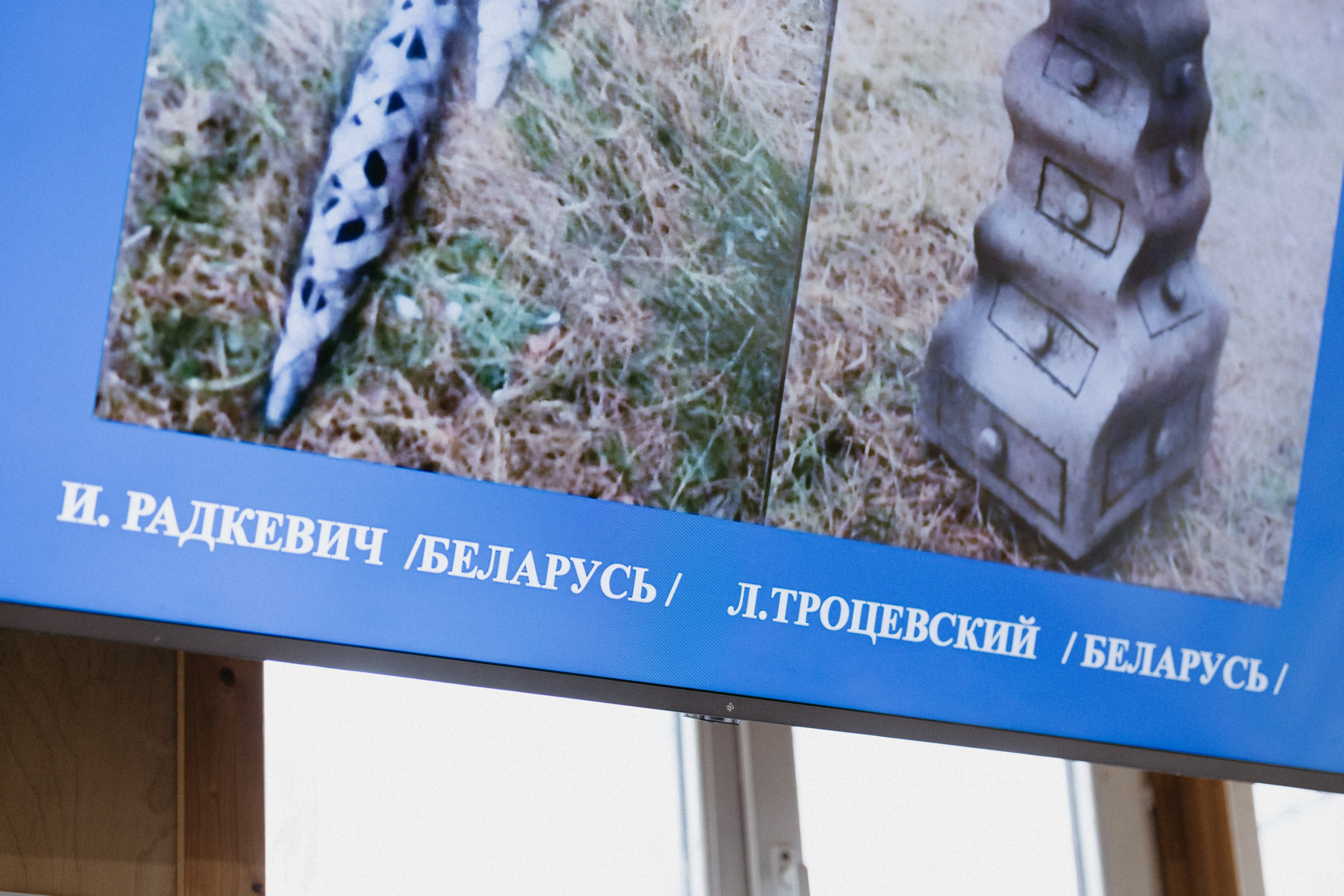 Новые земли. Про любовь