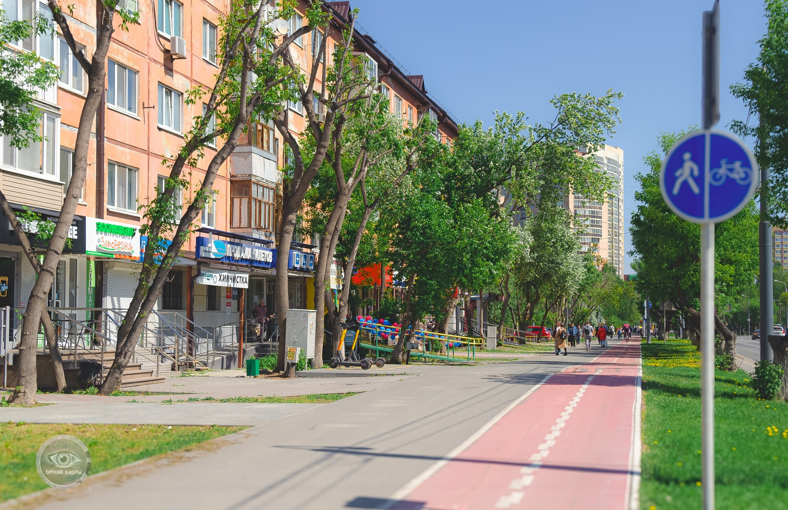 Краеведческие записки. Выпуск 1