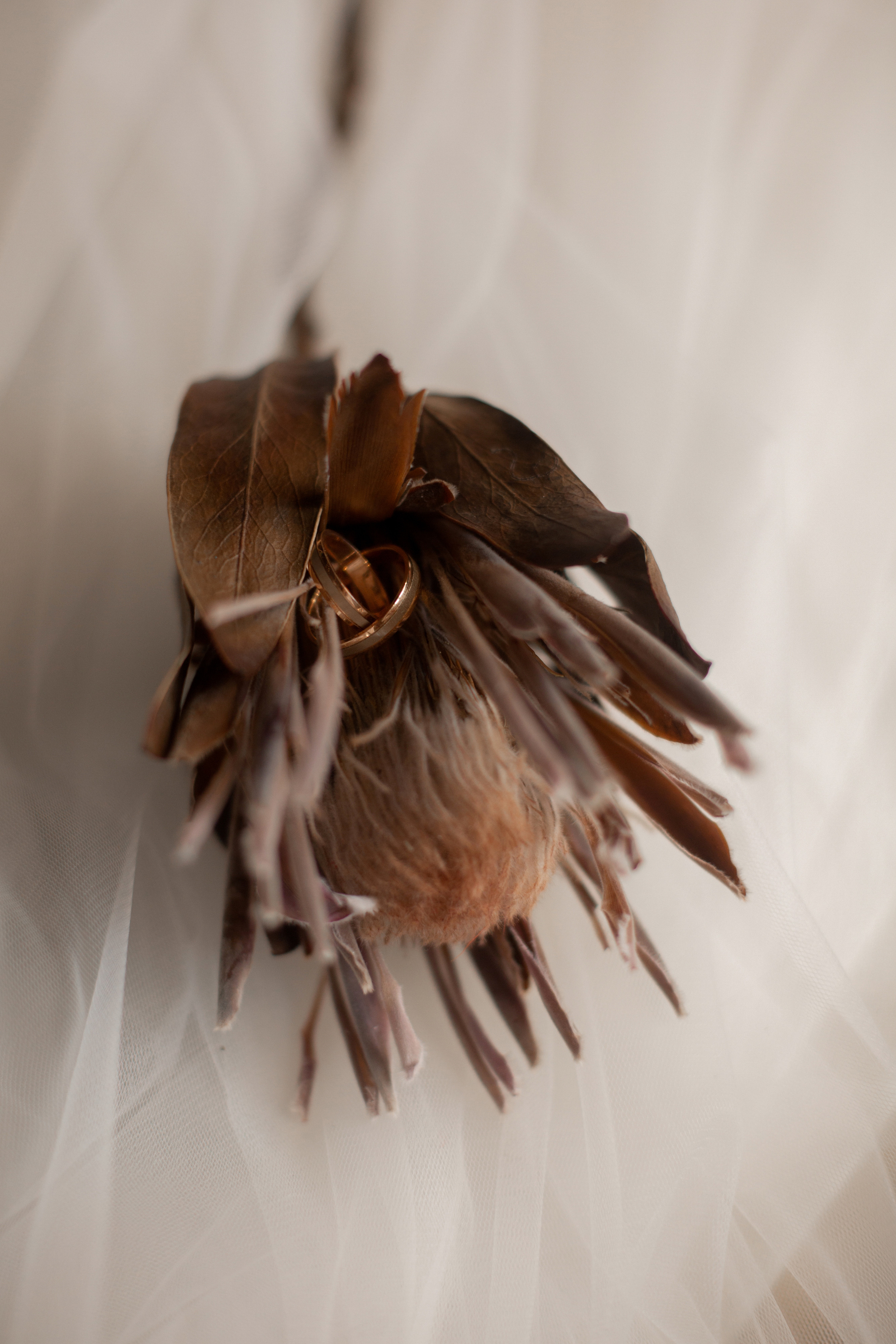 Никита и Оля. Свадебный и портретный фотограф Анастасия Казакова Санкт-Петербург