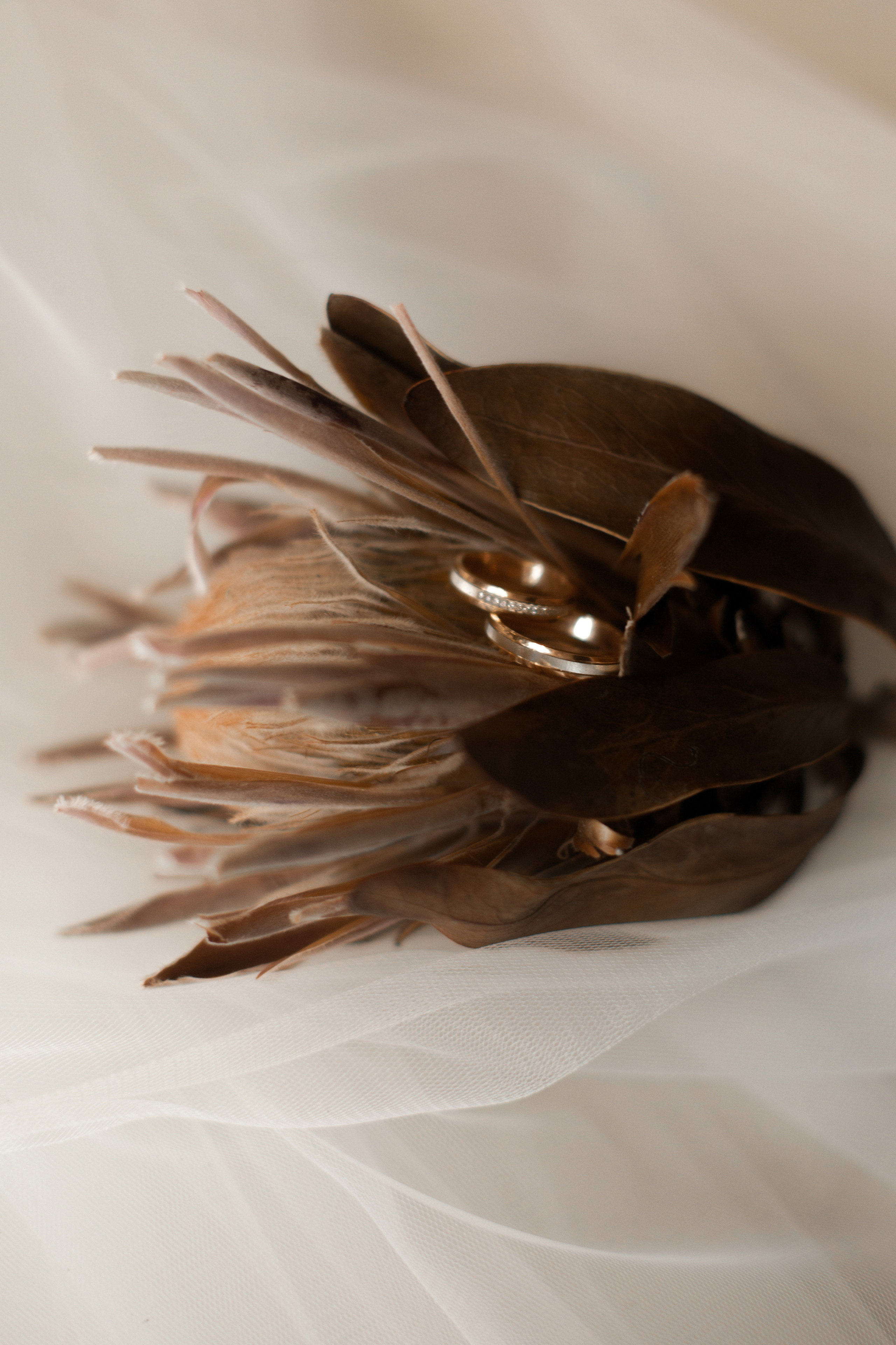 Никита и Оля. Свадебный и портретный фотограф Анастасия Казакова Санкт-Петербург