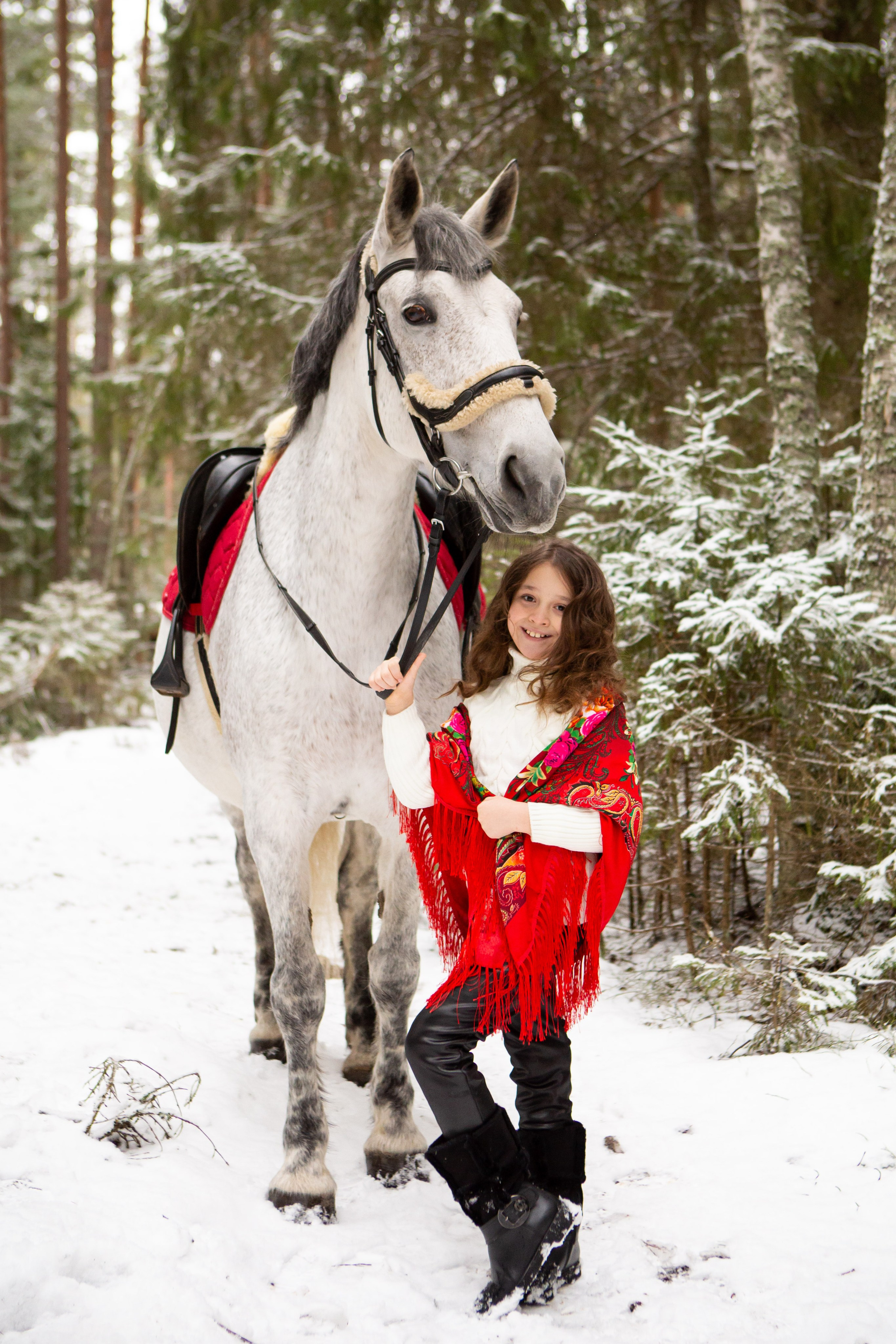Конные фотосессии (съёмки с лошадьми). Главная