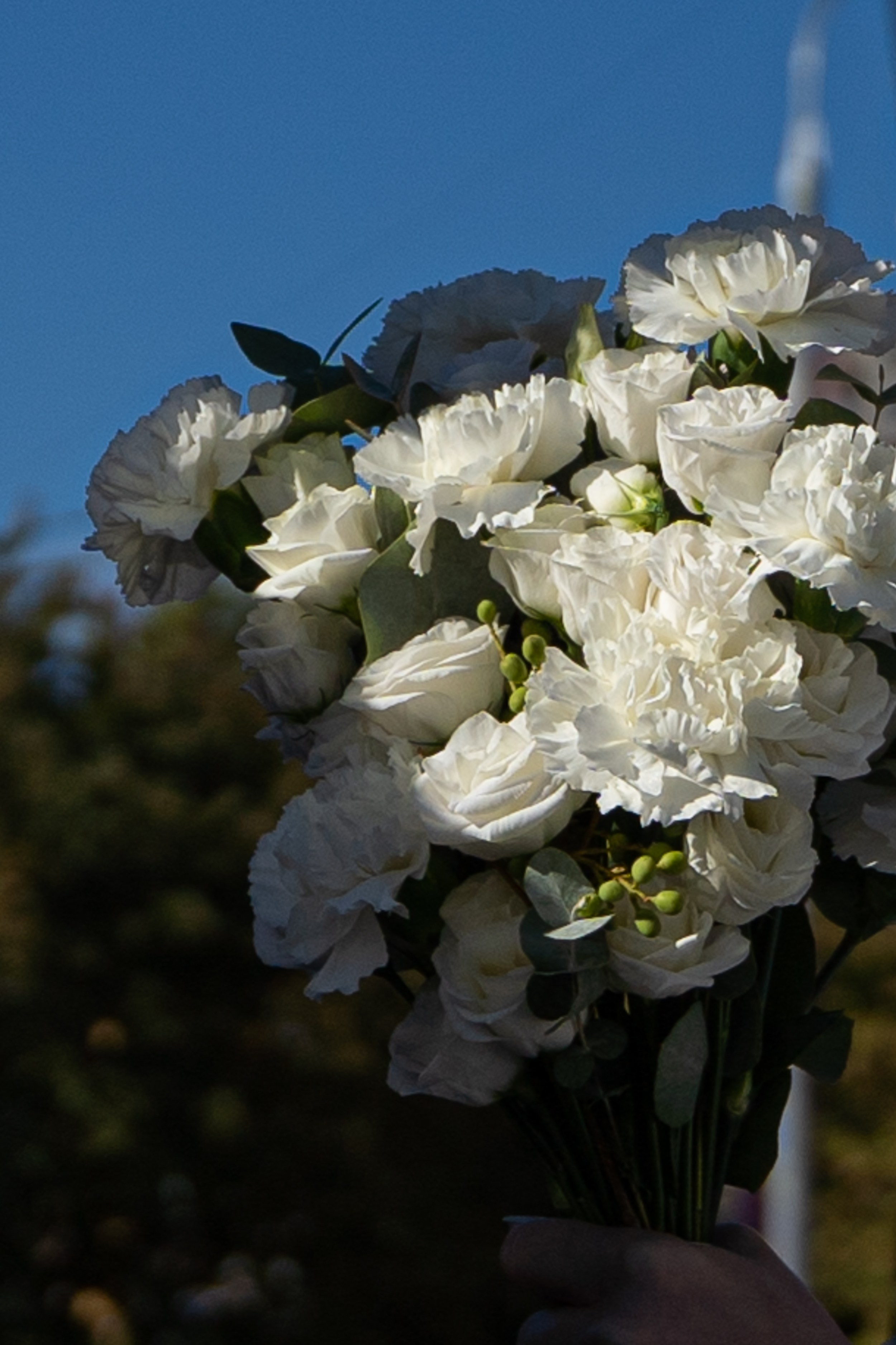 Дарья & Владимир. Главная