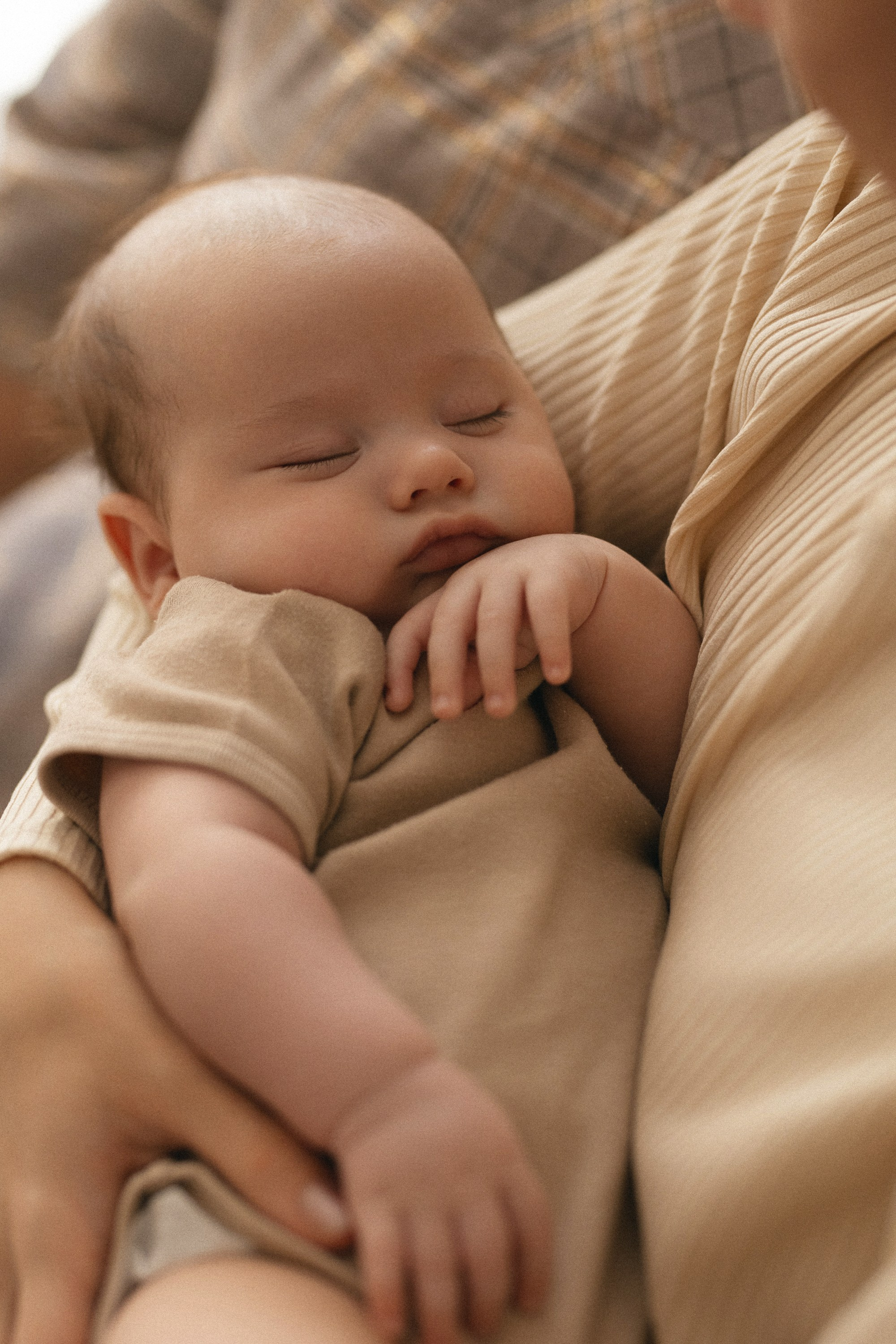 «ТРОЕ В ДОМЕ, НЕ СЧИТАЯ СОБАКИ». Maria Startseva Photo