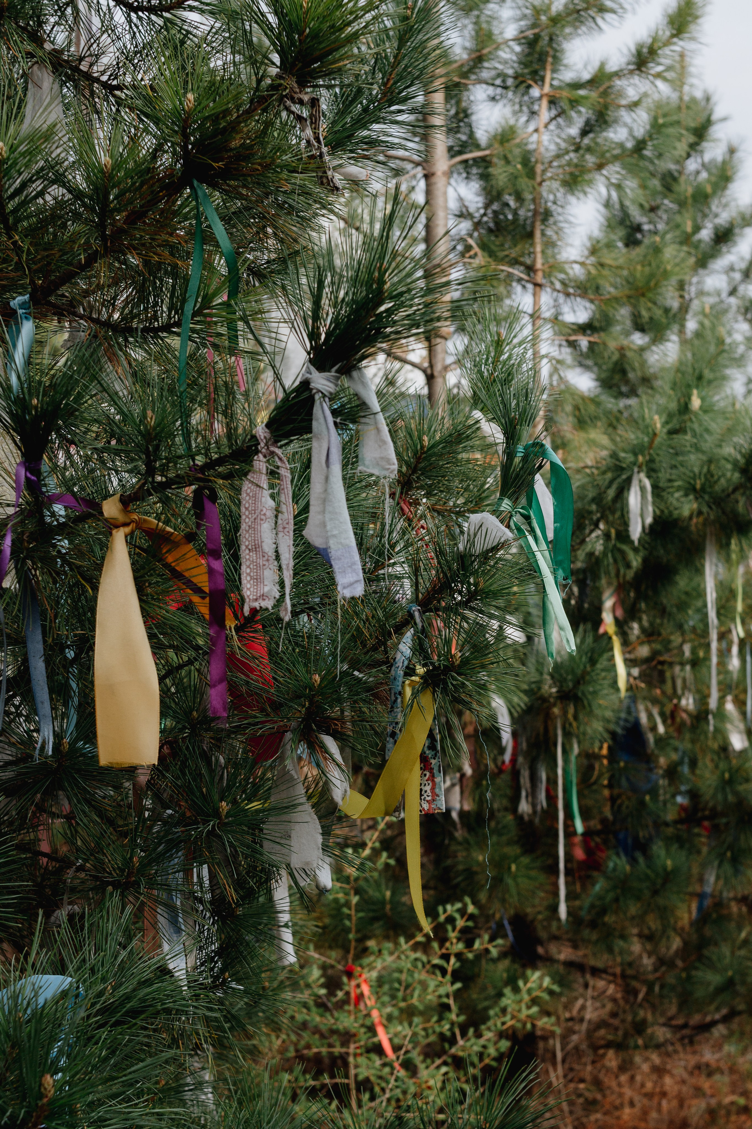 Ретрит на Байкале / Школа Ведических знаний SoVA / 7 дней, 2023. Борщевская Елизавета / фотограф Иркутск