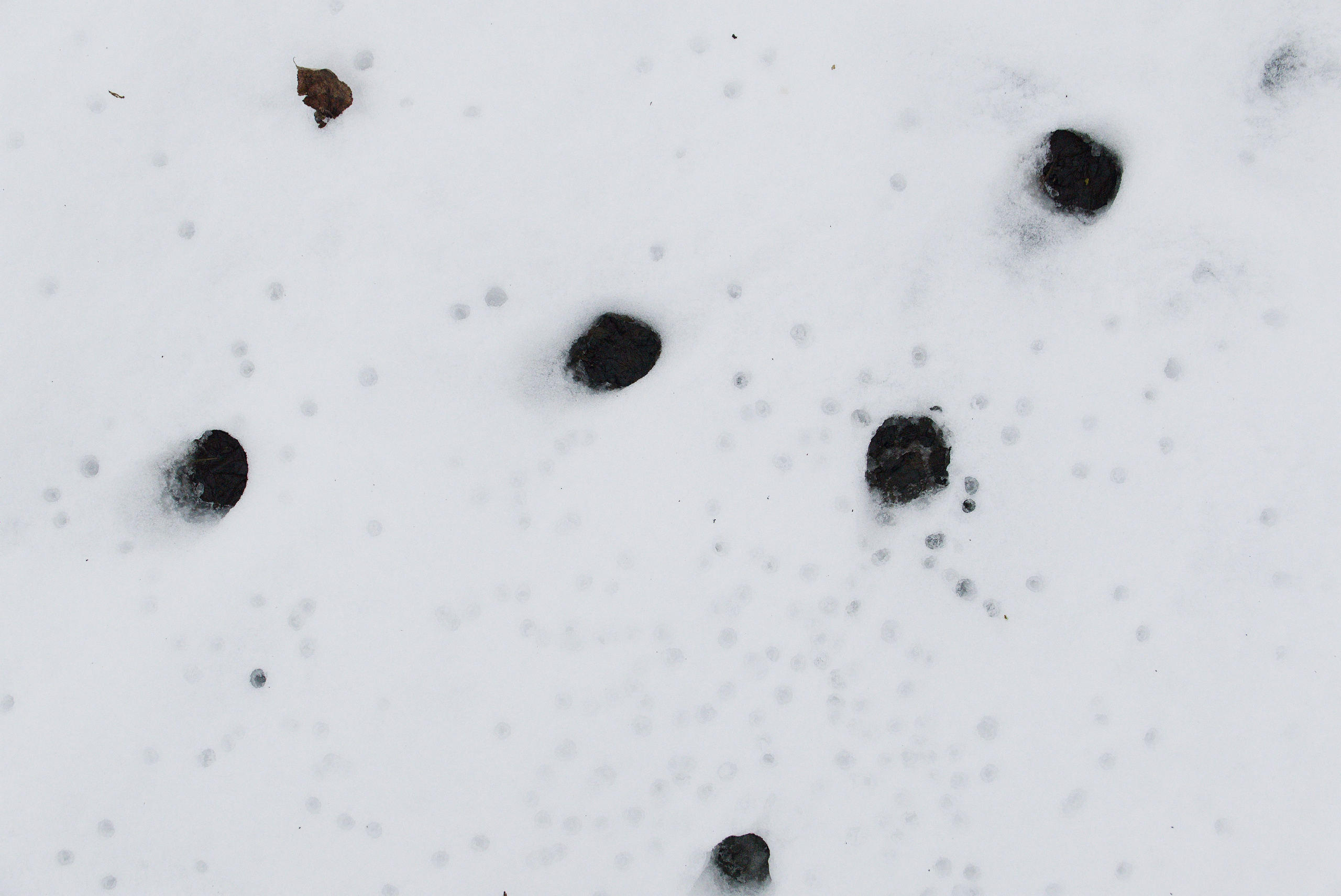 The pocket river. Photographer Anna Nazarova