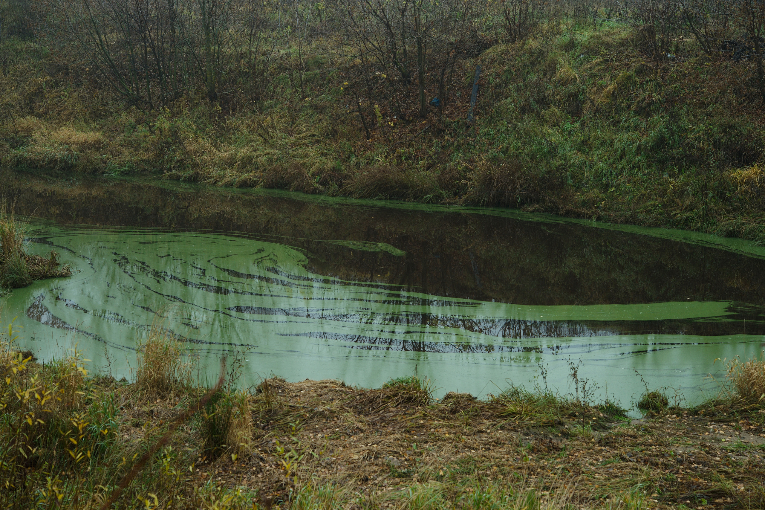 The pocket river. Photographer Anna Nazarova