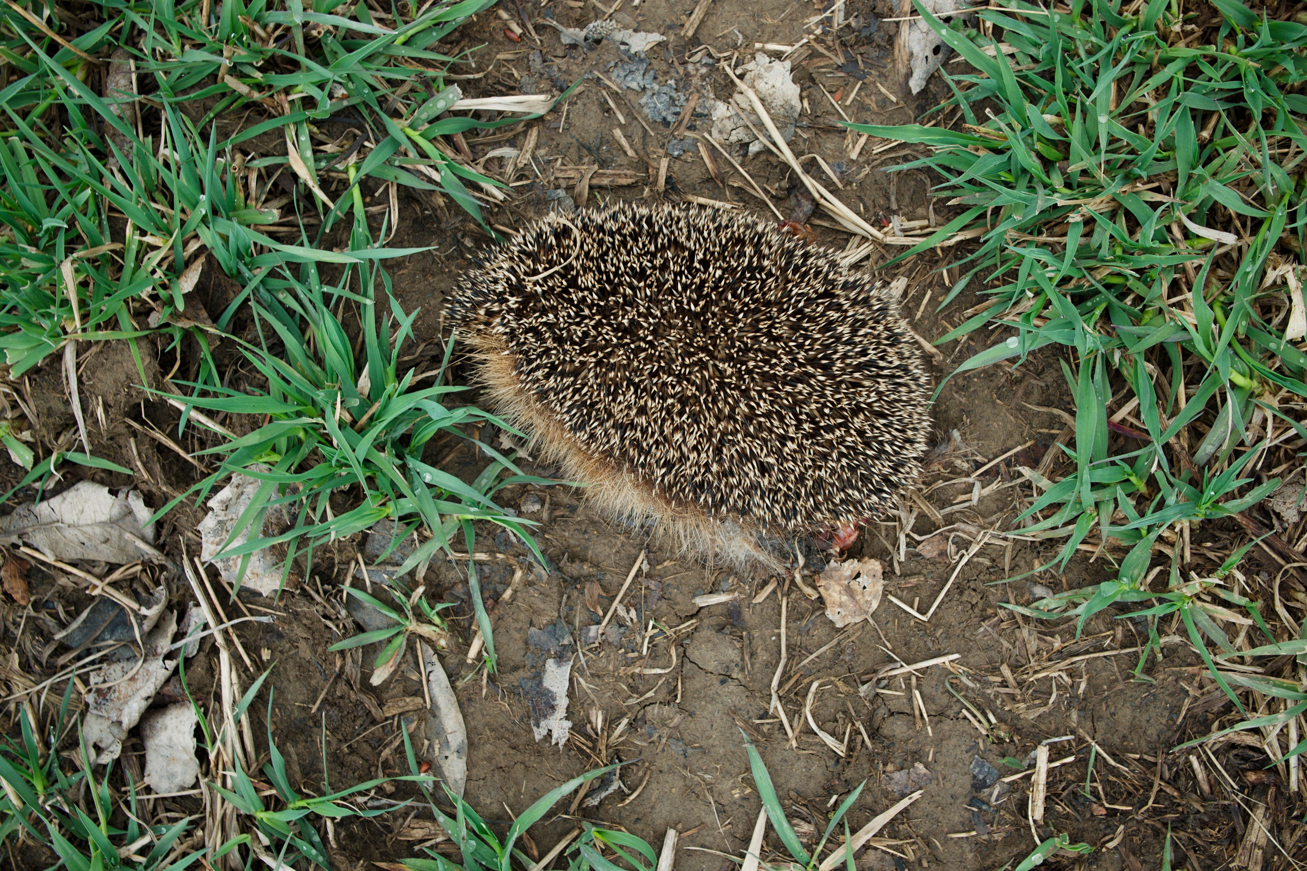 The pocket river. Photographer Anna Nazarova