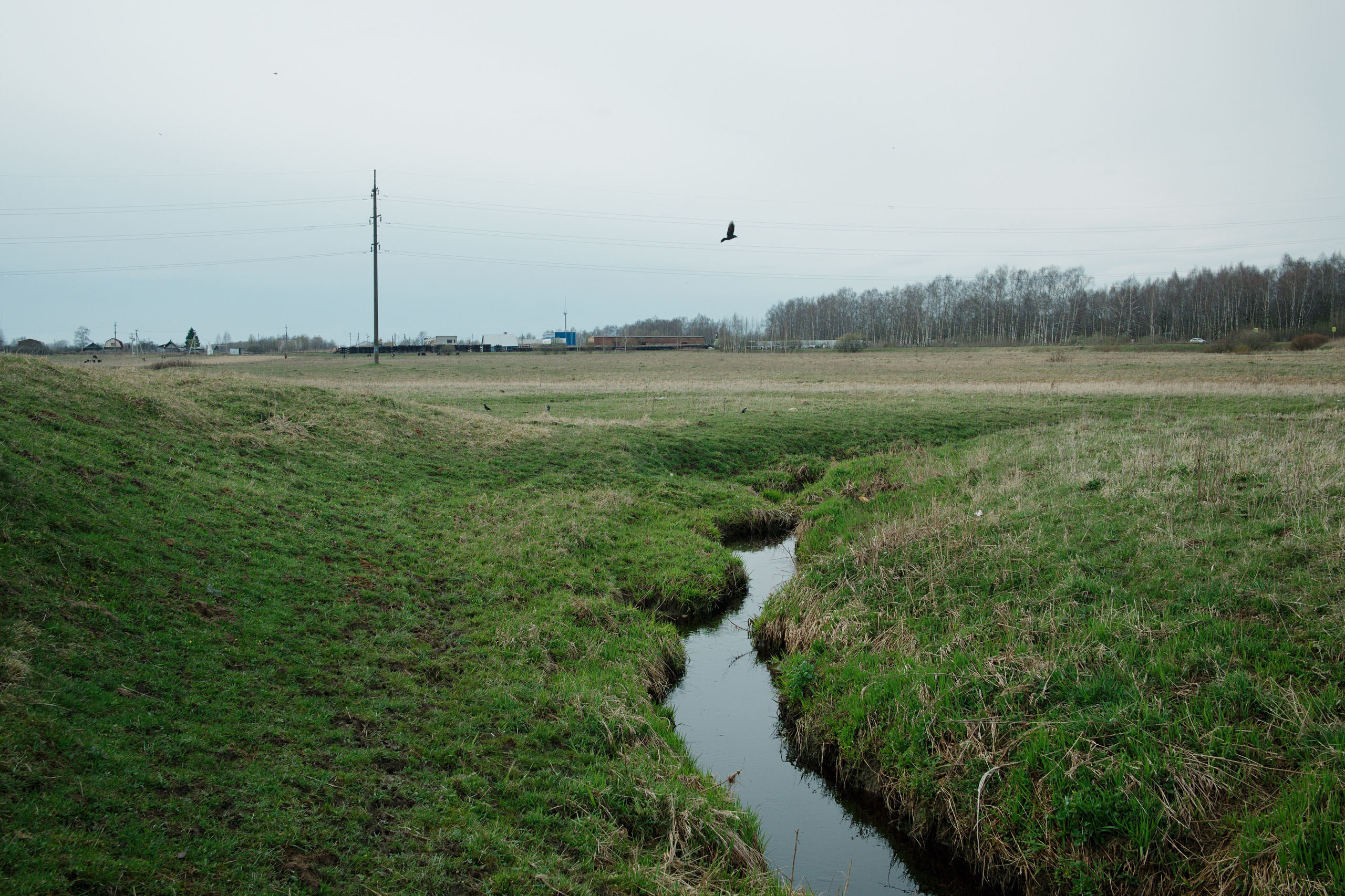 The pocket river. Photographer Anna Nazarova
