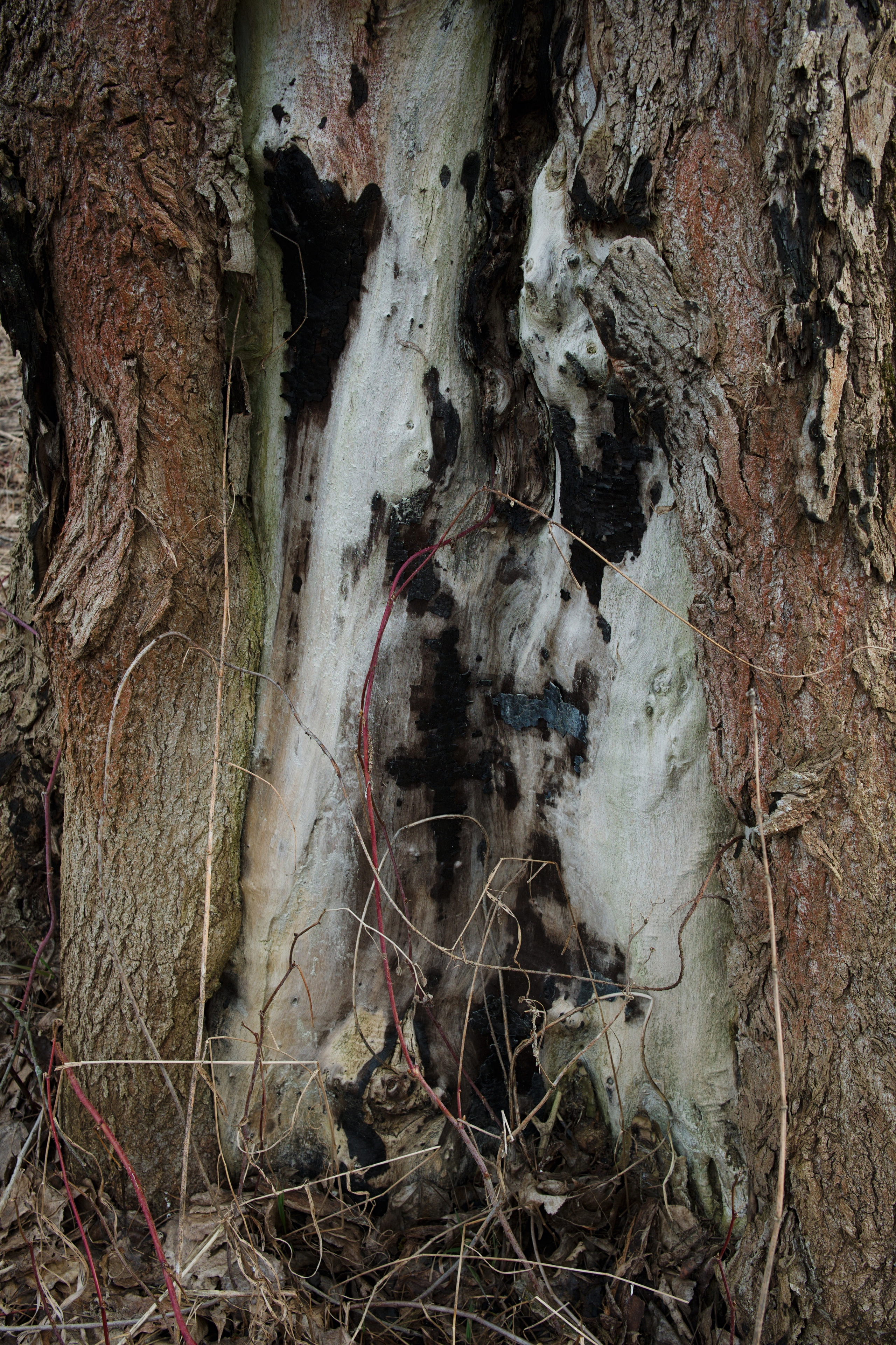 The pocket river. Photographer Anna Nazarova
