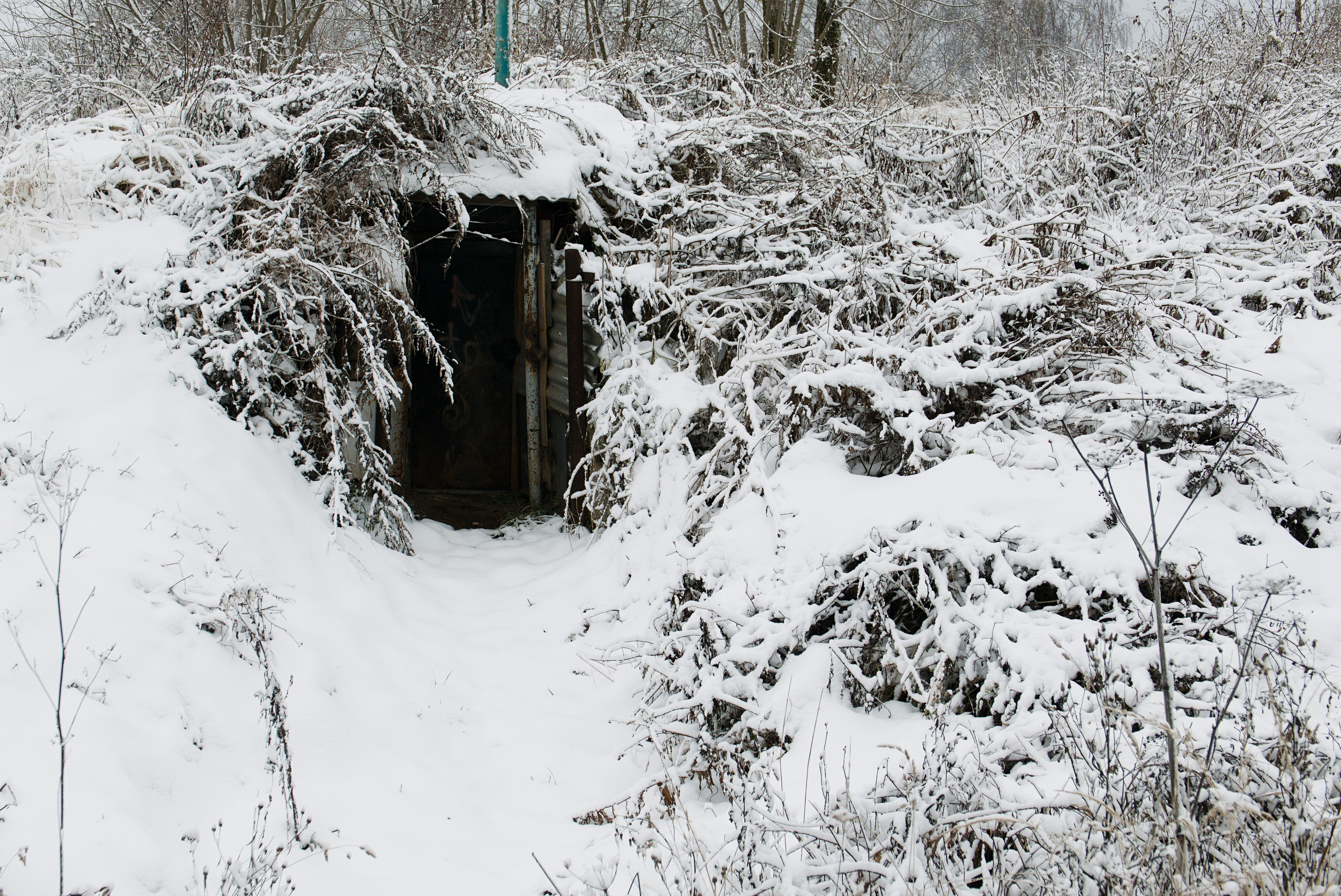The pocket river. Photographer Anna Nazarova