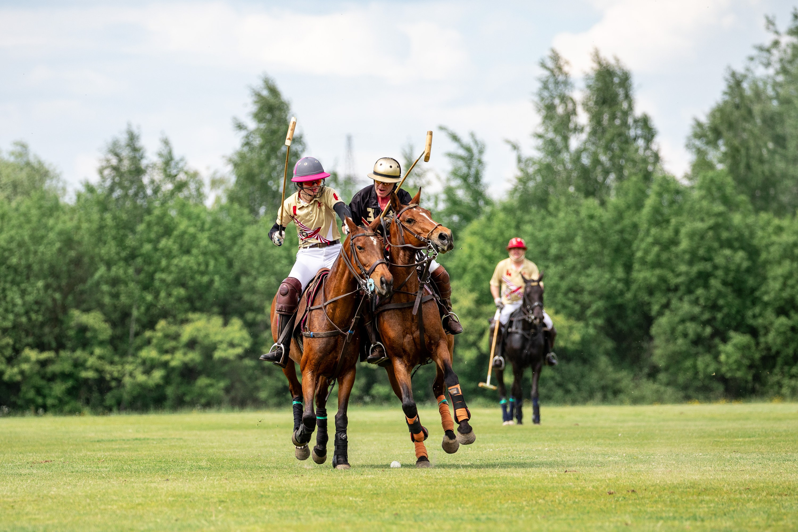 Конное поло. Mrs.Aquarelia Конный фотограф Марианна Леонтьева