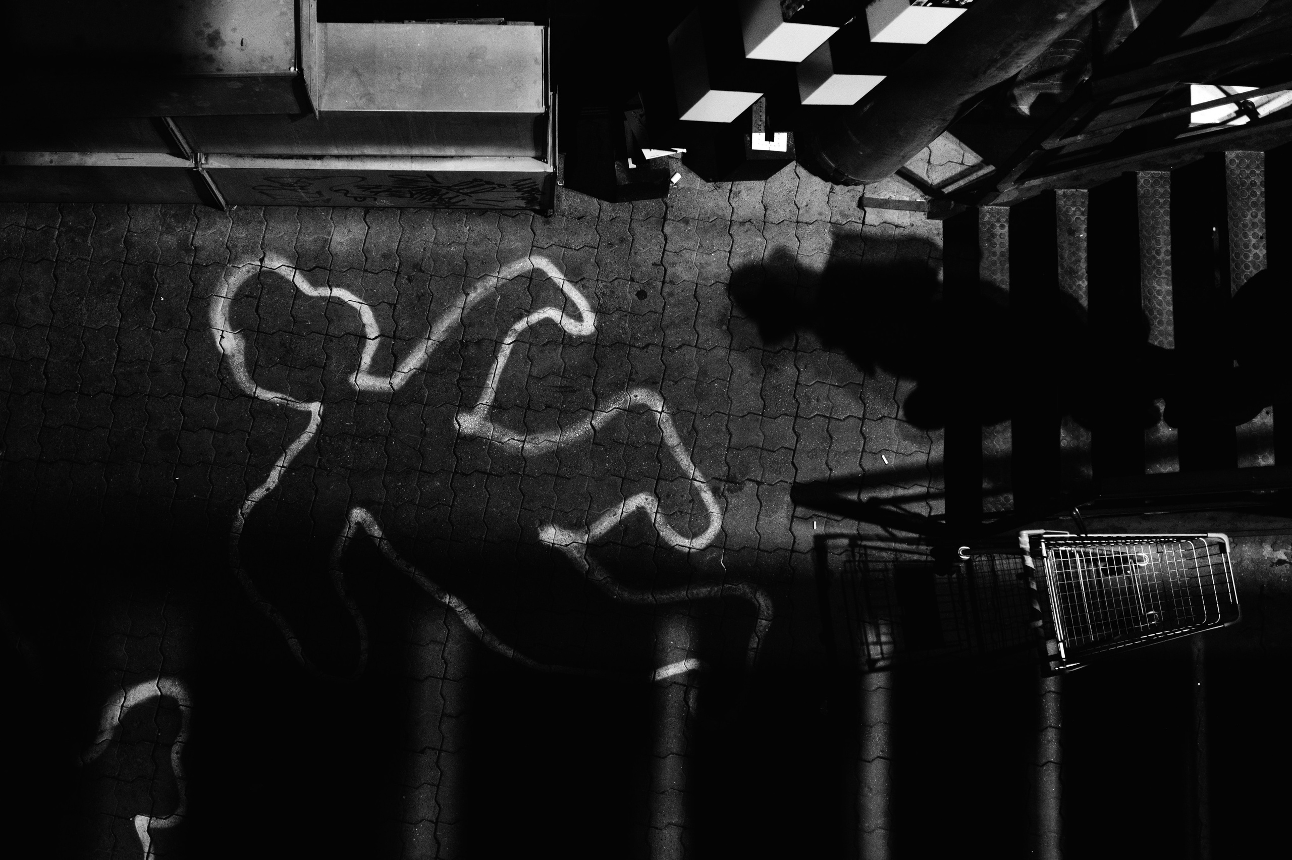 Настоящий детектив. Профессиональная фотосессия в Краснодаре | Фотограф Денис Труфанов