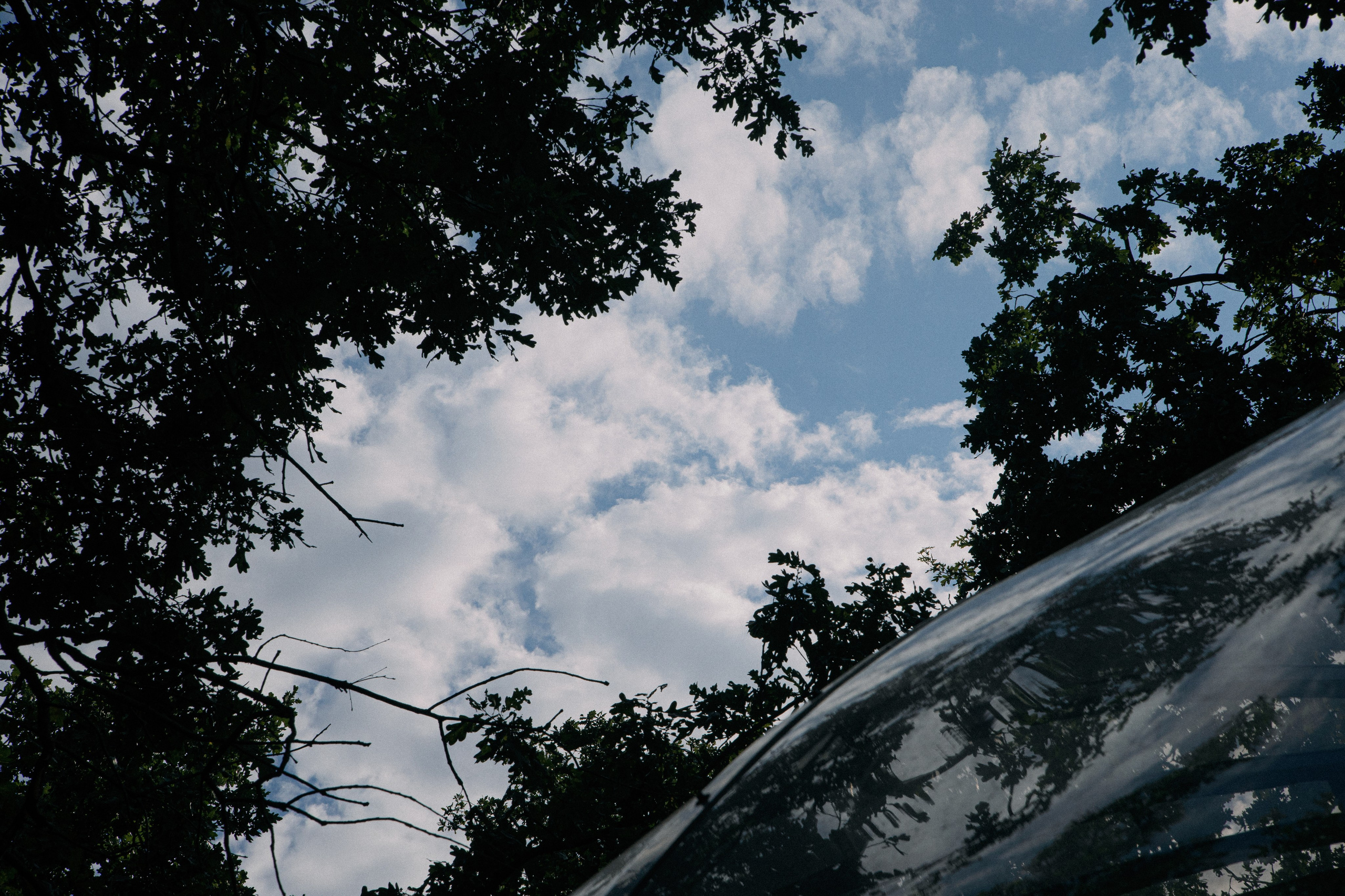 Luv. Свадебный фотограф Максим Яненко в Волгограде