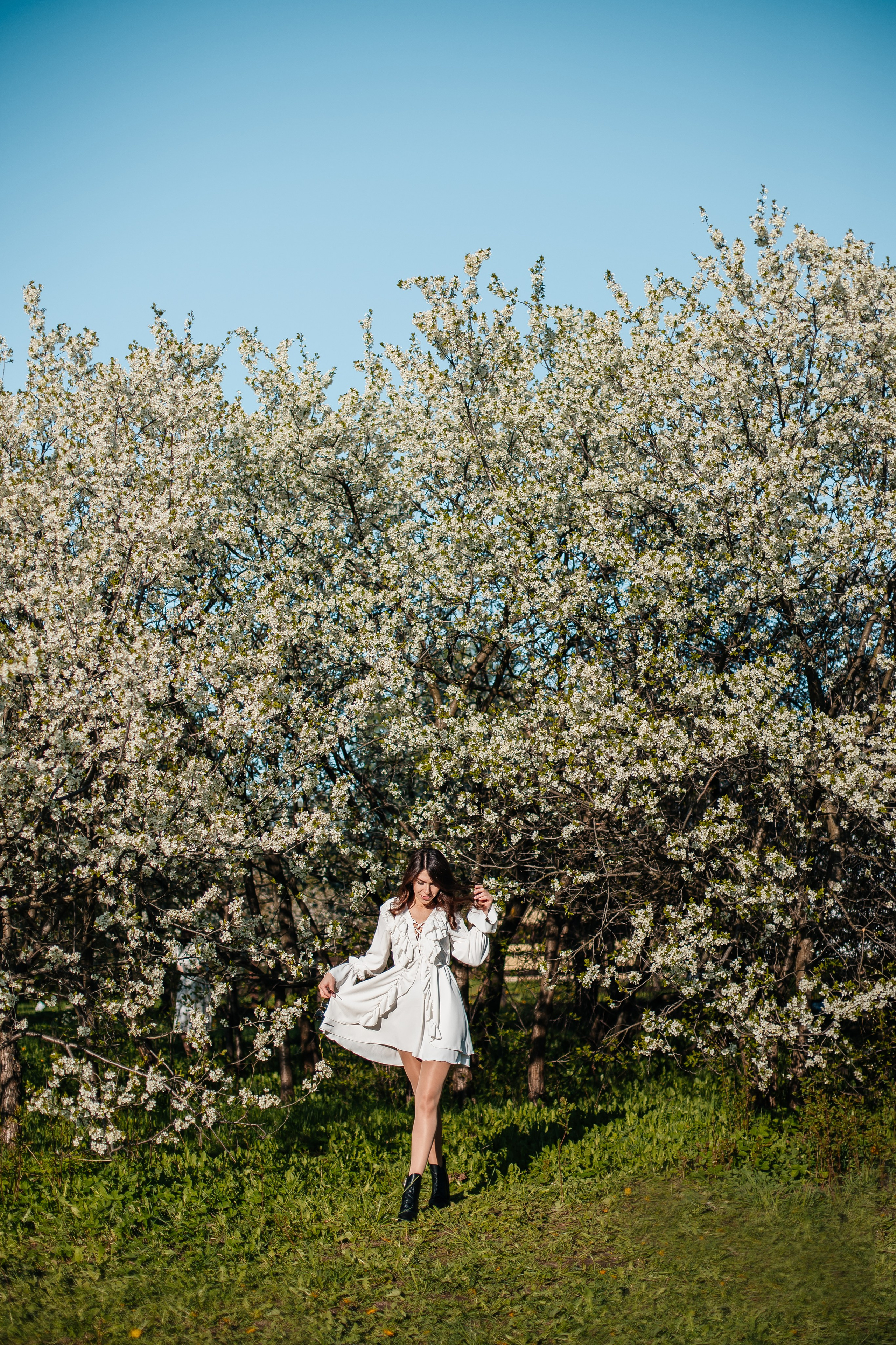 Вишня. Анастасия Давыдова