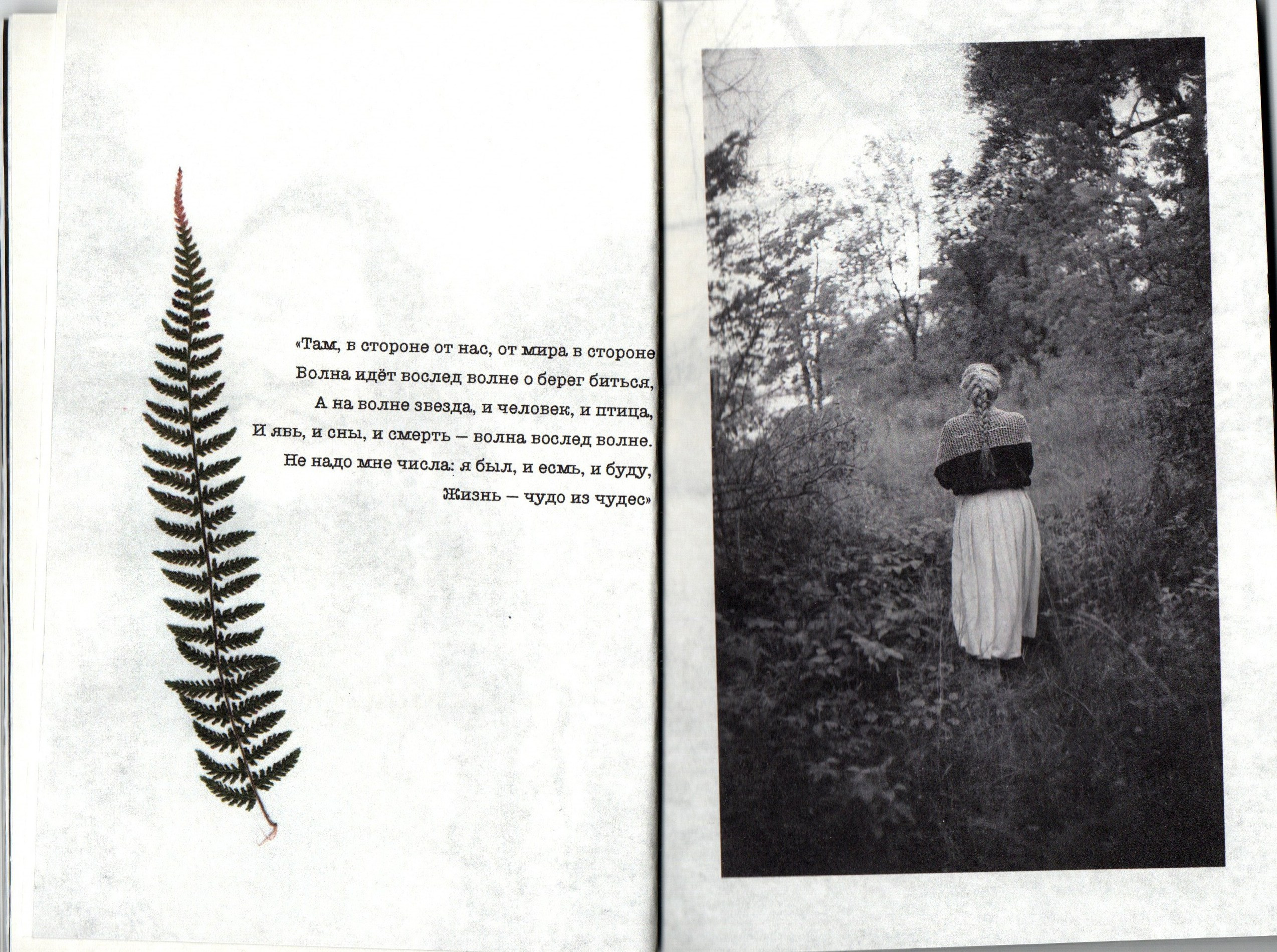 Любители ягодных пирогов. Фотограф Анна Кирнос