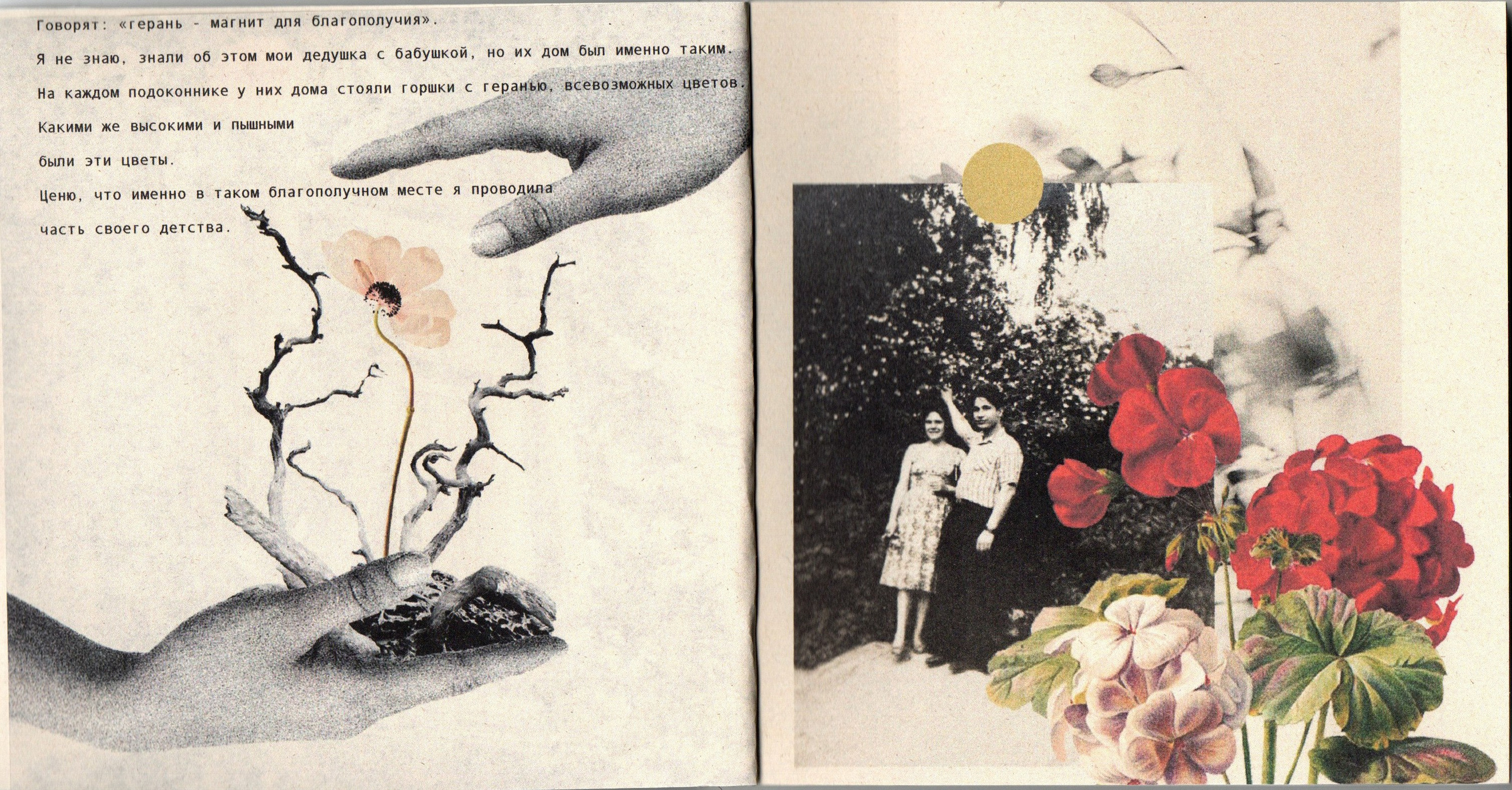 Хрупкий дом. Фотограф Анна Кирнос